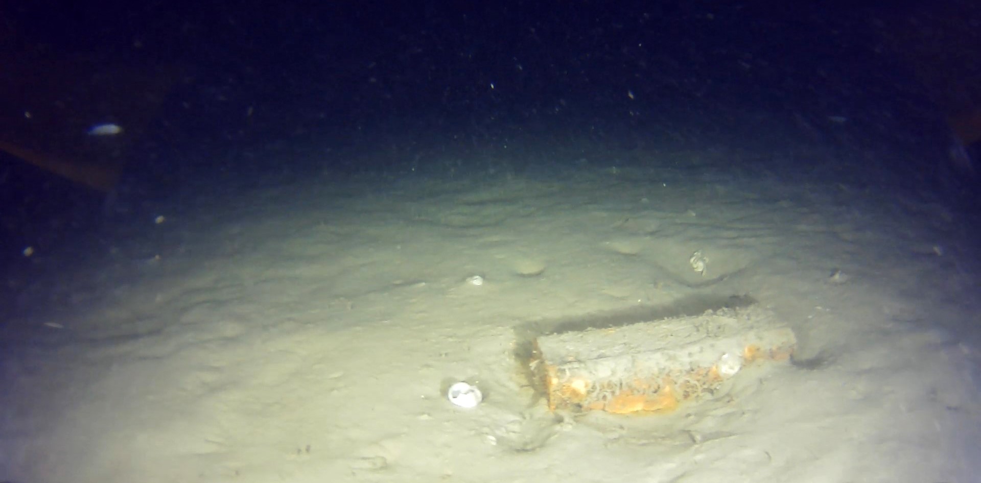 Marmaranin Derinliklerinde 50 Yillik Gizem Cozuluyor 42 Kisiye Mezar Olan Enkazdan Yen (3)