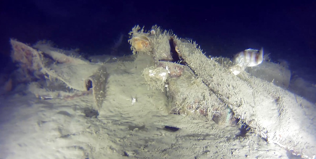 Marmaranin Derinliklerinde 50 Yillik Gizem Cozuluyor 42 Kisiye Mezar Olan Enkazdan Yen (4)