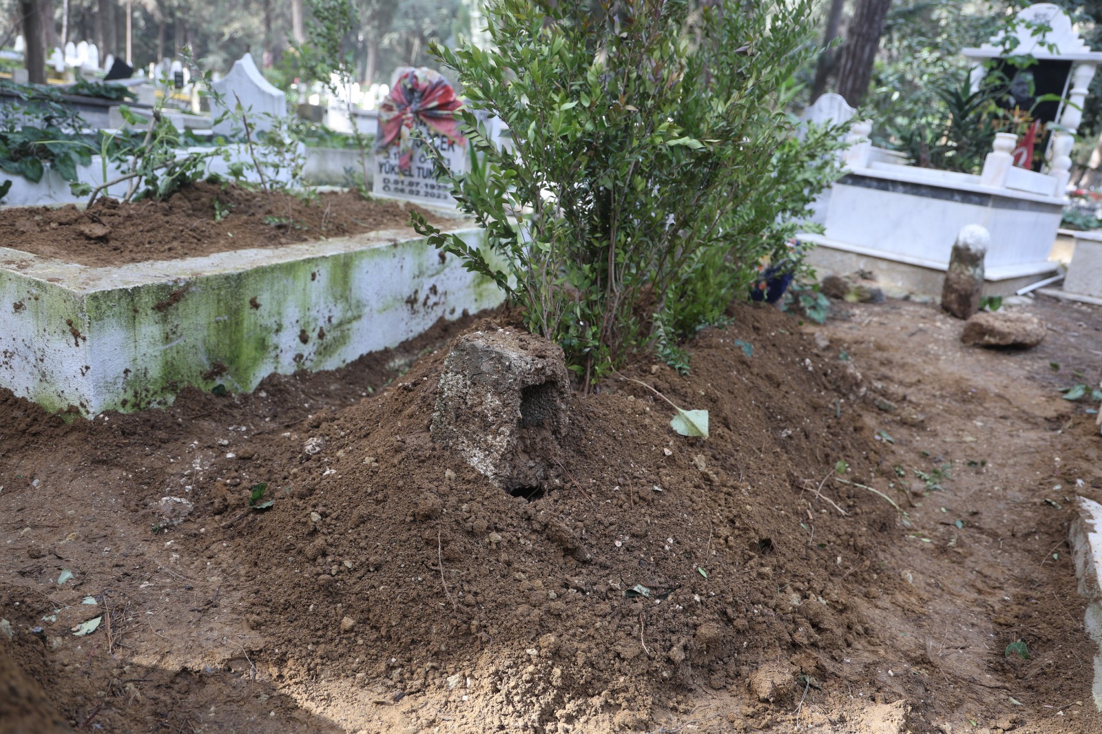 Mezari Olmayan Kardesim Kalmayacak Demisti 3 Yil Sonra Gelen Aci Kavusma (4)