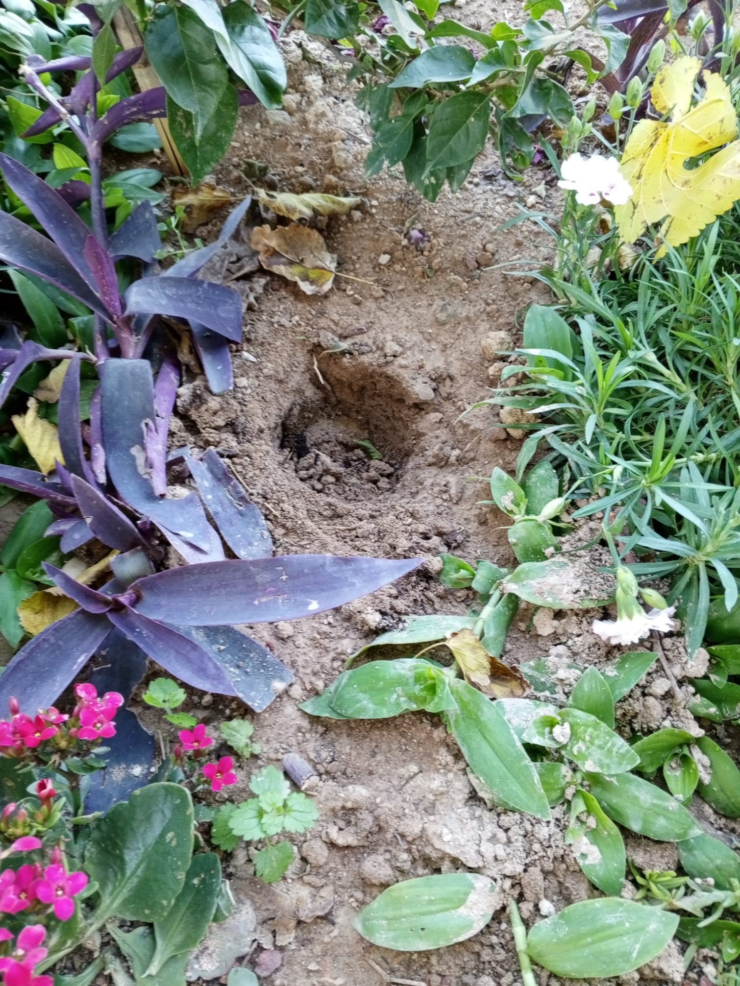 Mezarlıkta Uyuşturucu Dehşeti! Torbacılar Mezarlığı Mesken Tuttu (2)