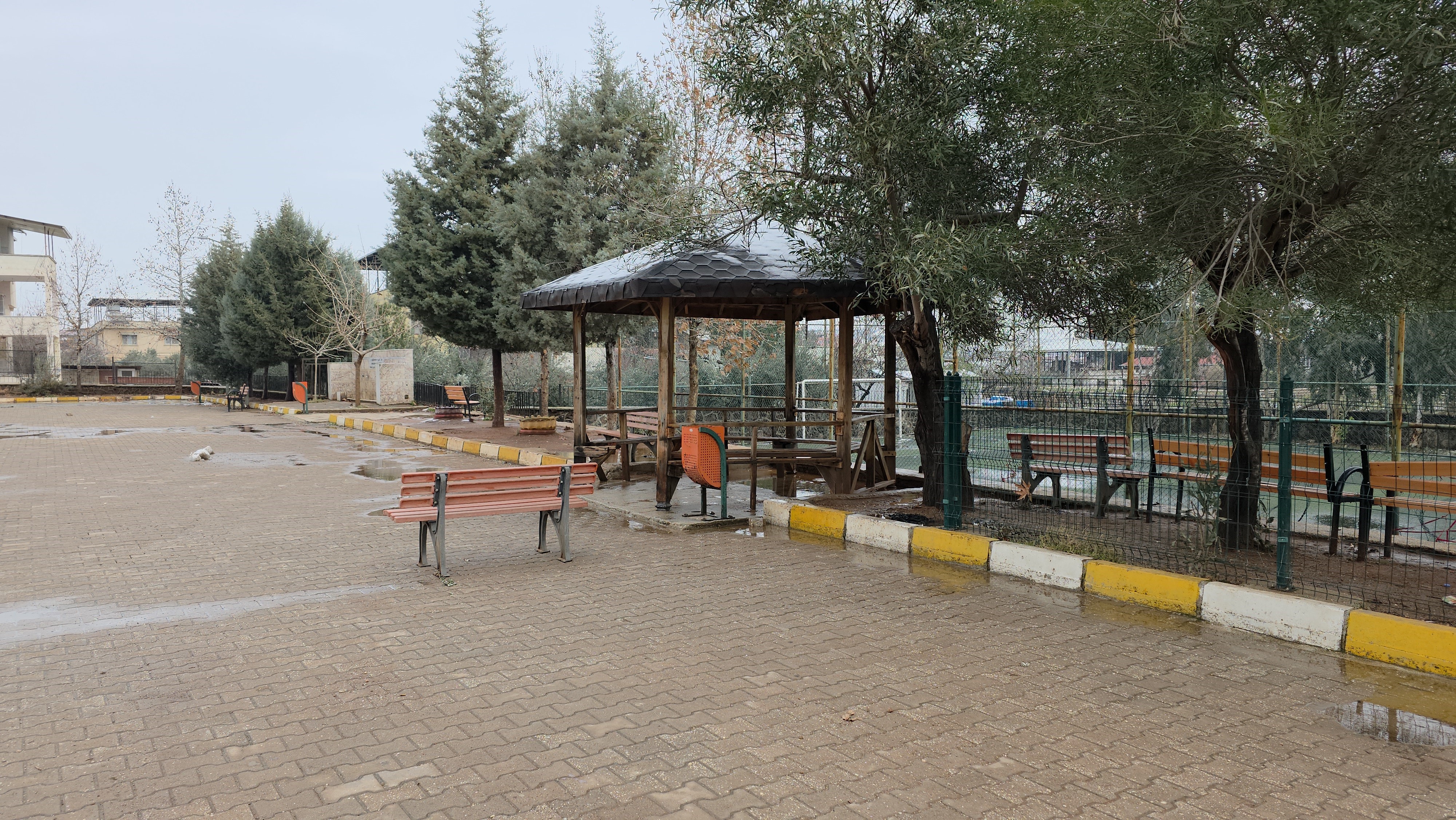 Okul Bahçesinde Kahreden Manzara! 17 Yaşındaki Çocuk Av Tüfeğiyle Vurulmuş Halde Bulundu (3)