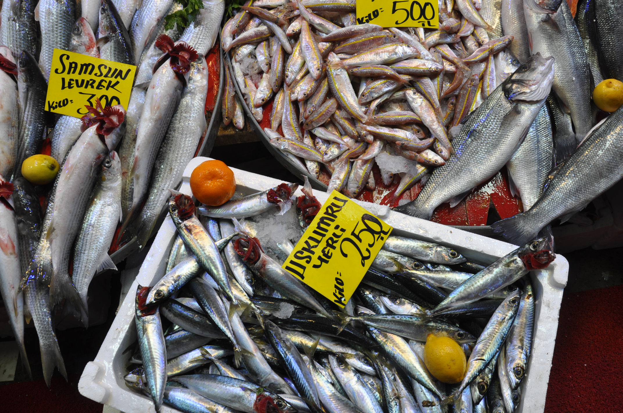 Salihli Balık Pazarı (10)