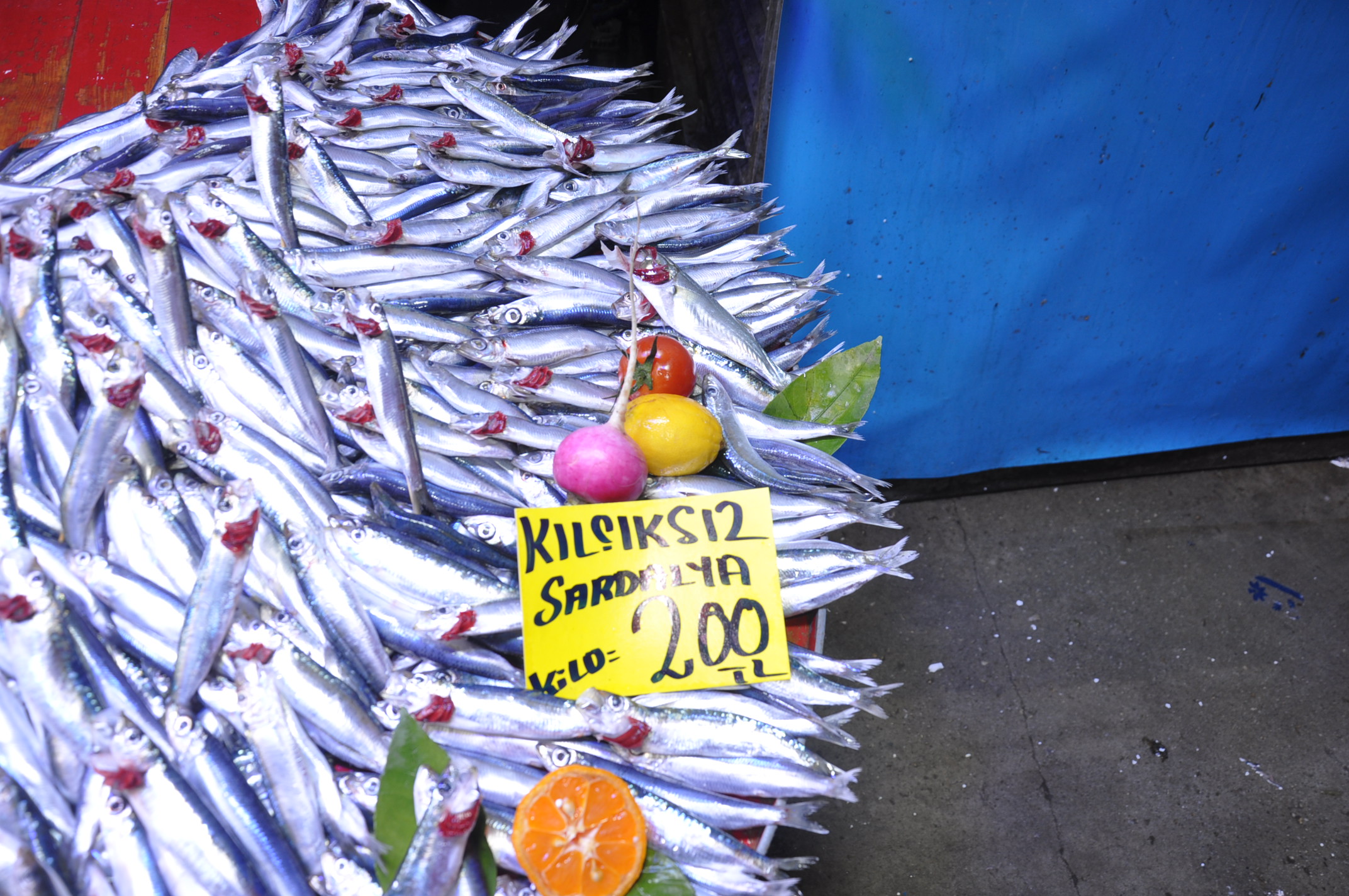 Salihli Balık Pazarı (14)