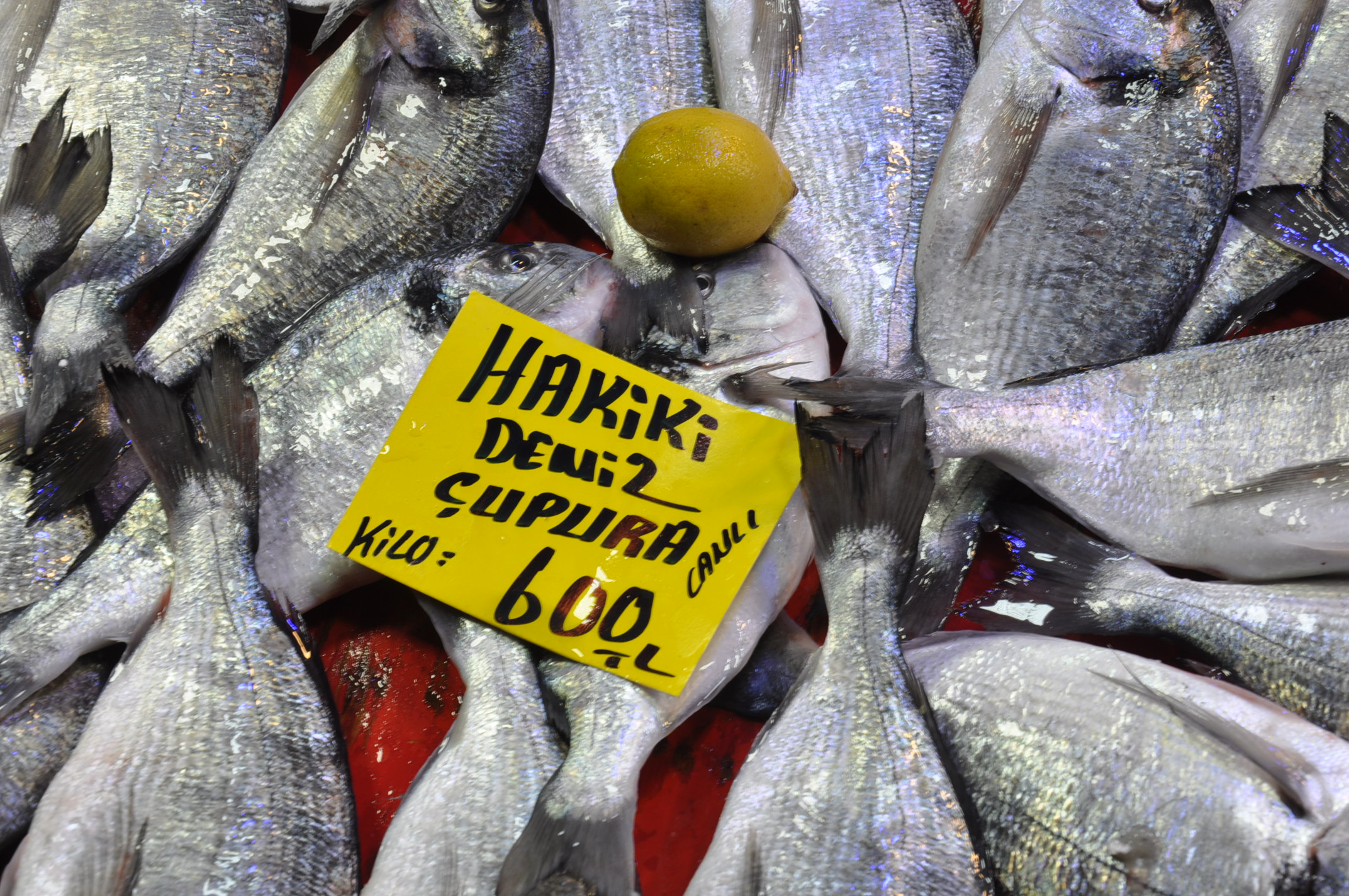 Salihli Balık Pazarı (5)