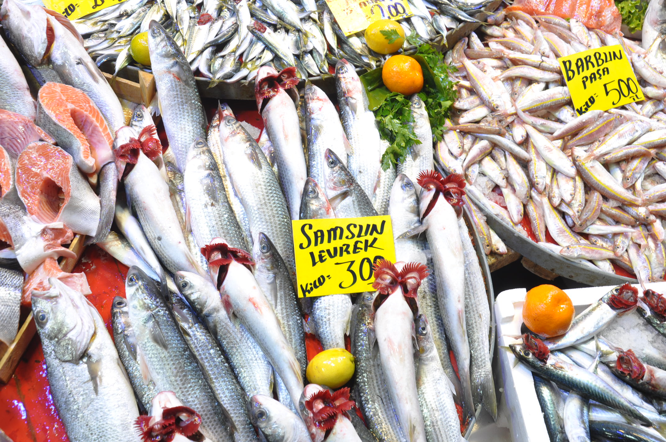 Salihli Balık Pazarı (7)