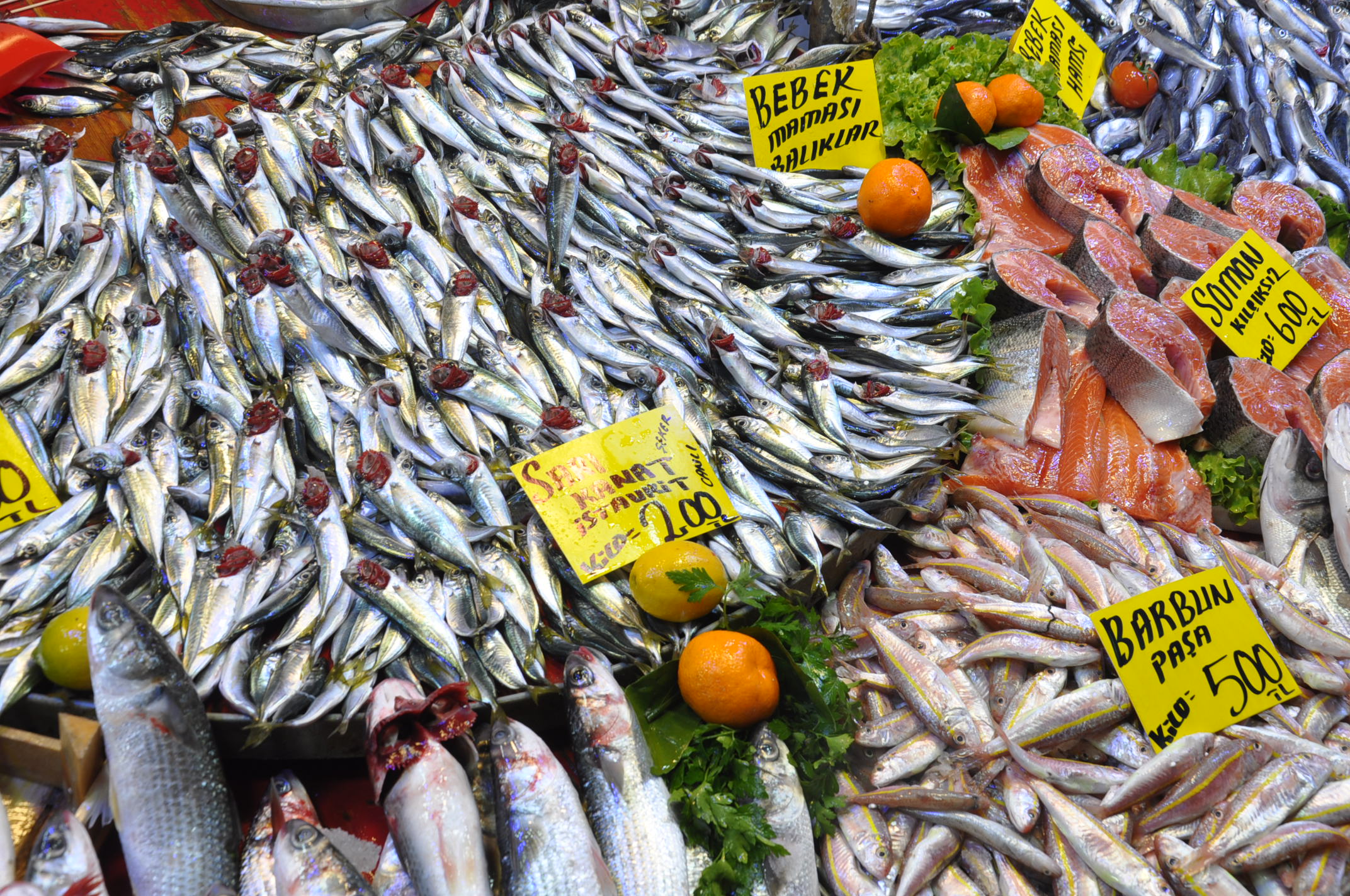 Salihli Balık Pazarı (8)