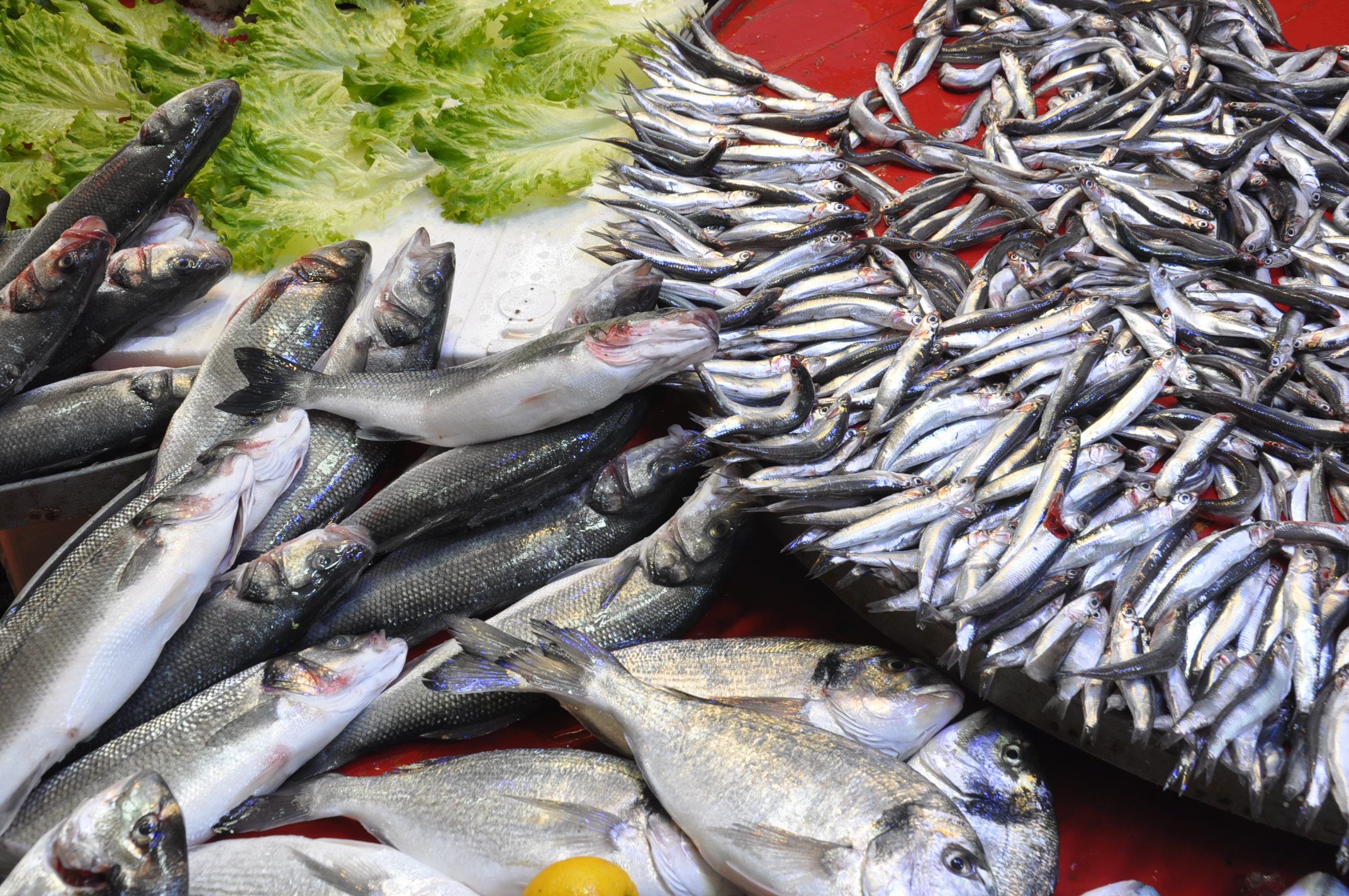 Salihli Carsamba Pazarinda Balik Fiyatlari Pazarin En Pahalisi Karides (12)