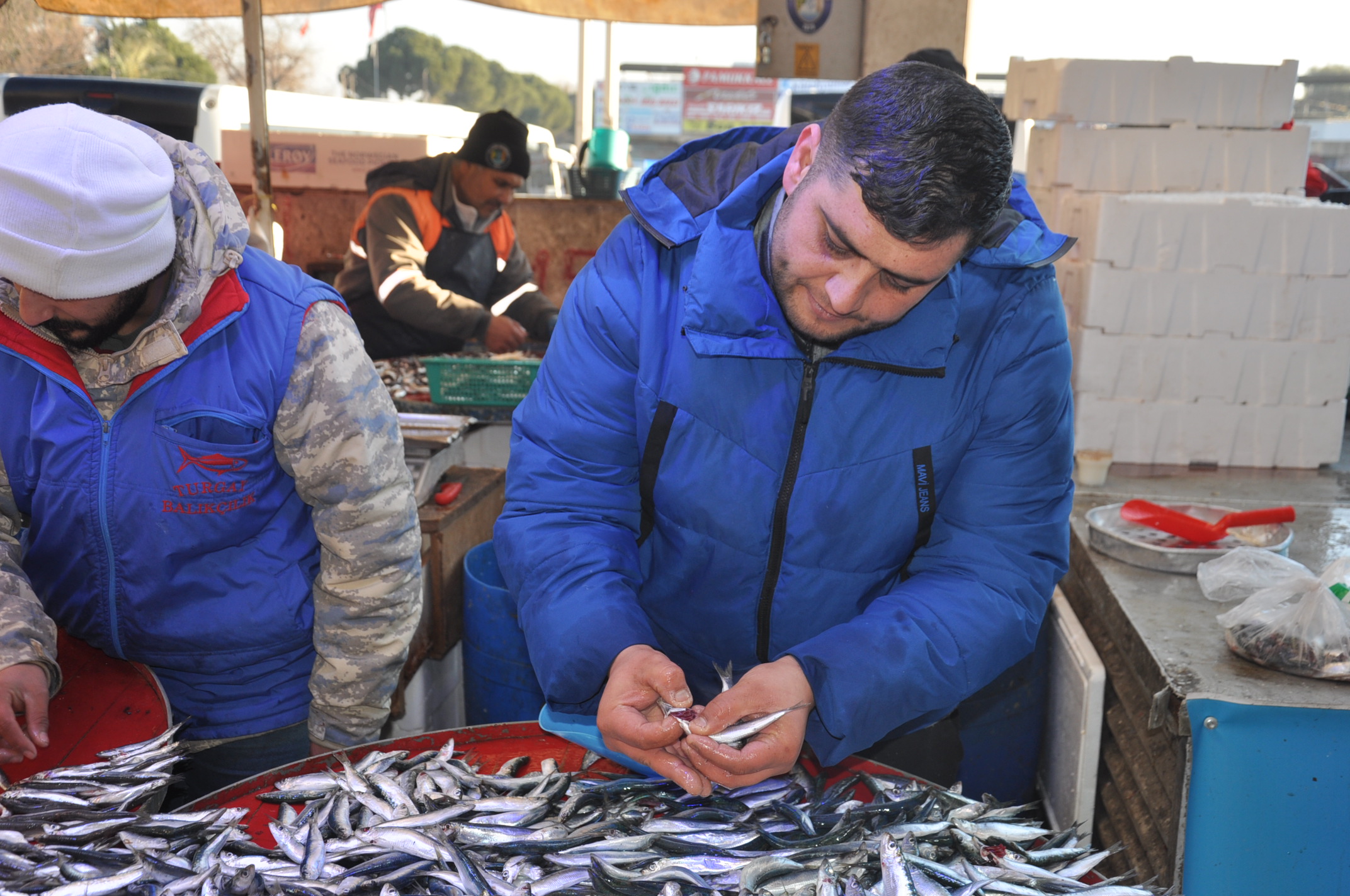 Salihli Carsamba Pazarinda Balik Fiyatlari Pazarin En Pahalisi Karides (13)