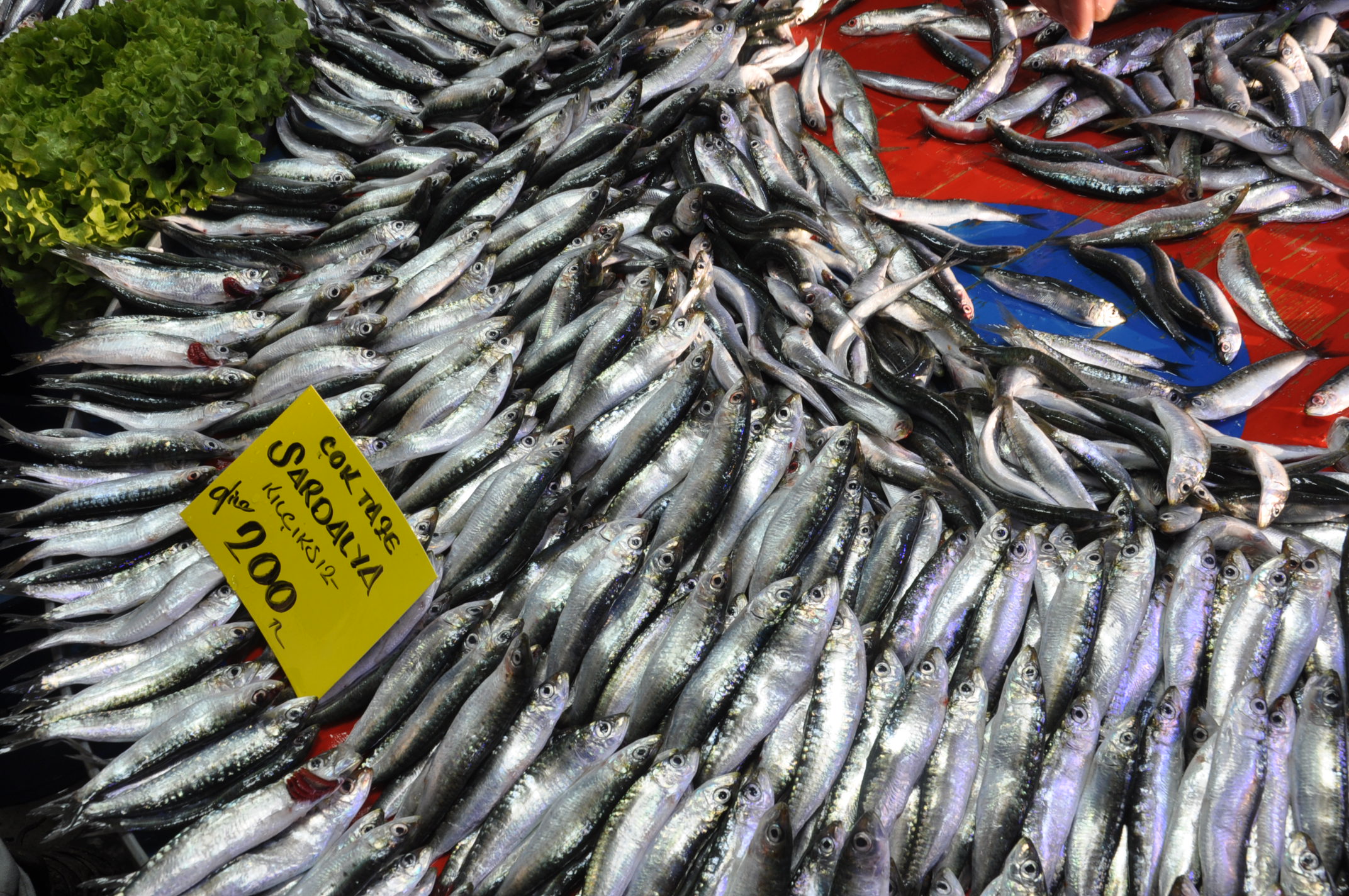 Salihli Carsamba Pazarinda Balik Fiyatlari Pazarin En Pahalisi Karides (14)