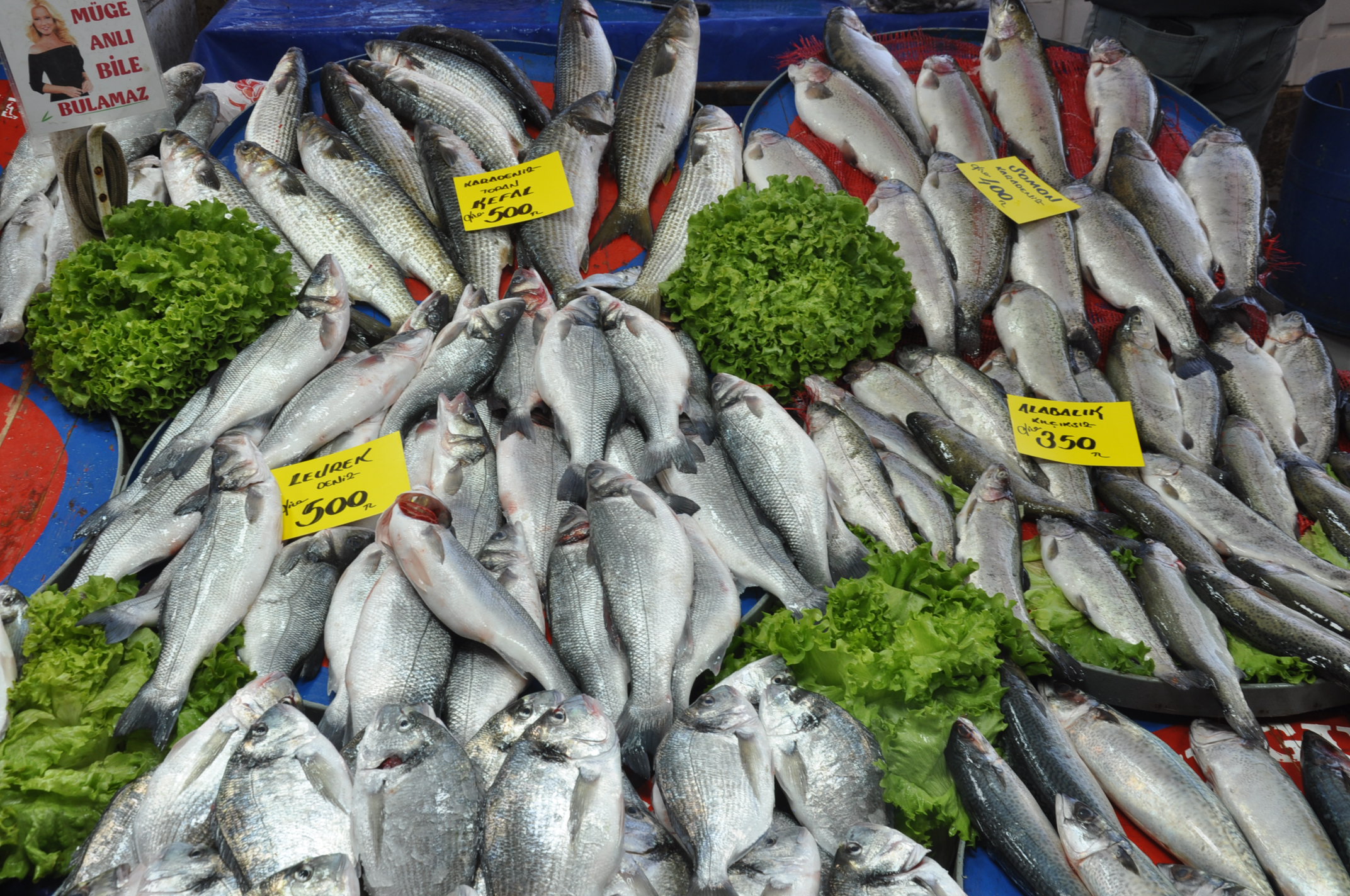 Salihli Carsamba Pazarinda Balik Fiyatlari Pazarin En Pahalisi Karides (15)