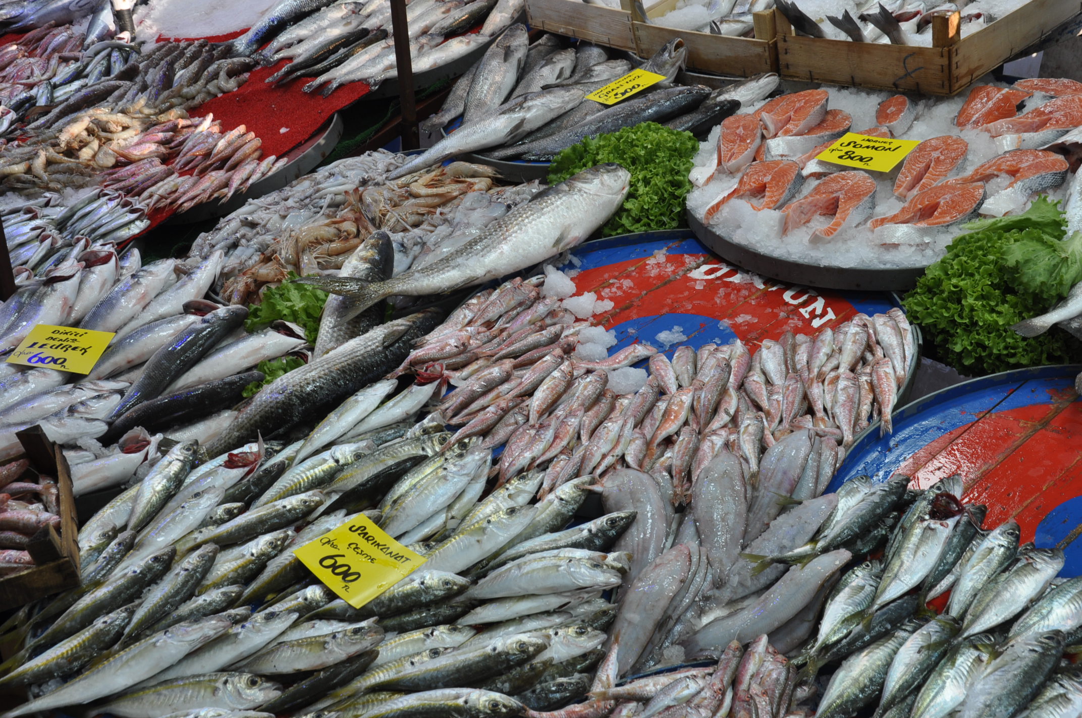 Salihli Carsamba Pazarinda Balik Fiyatlari Pazarin En Pahalisi Karides (16)