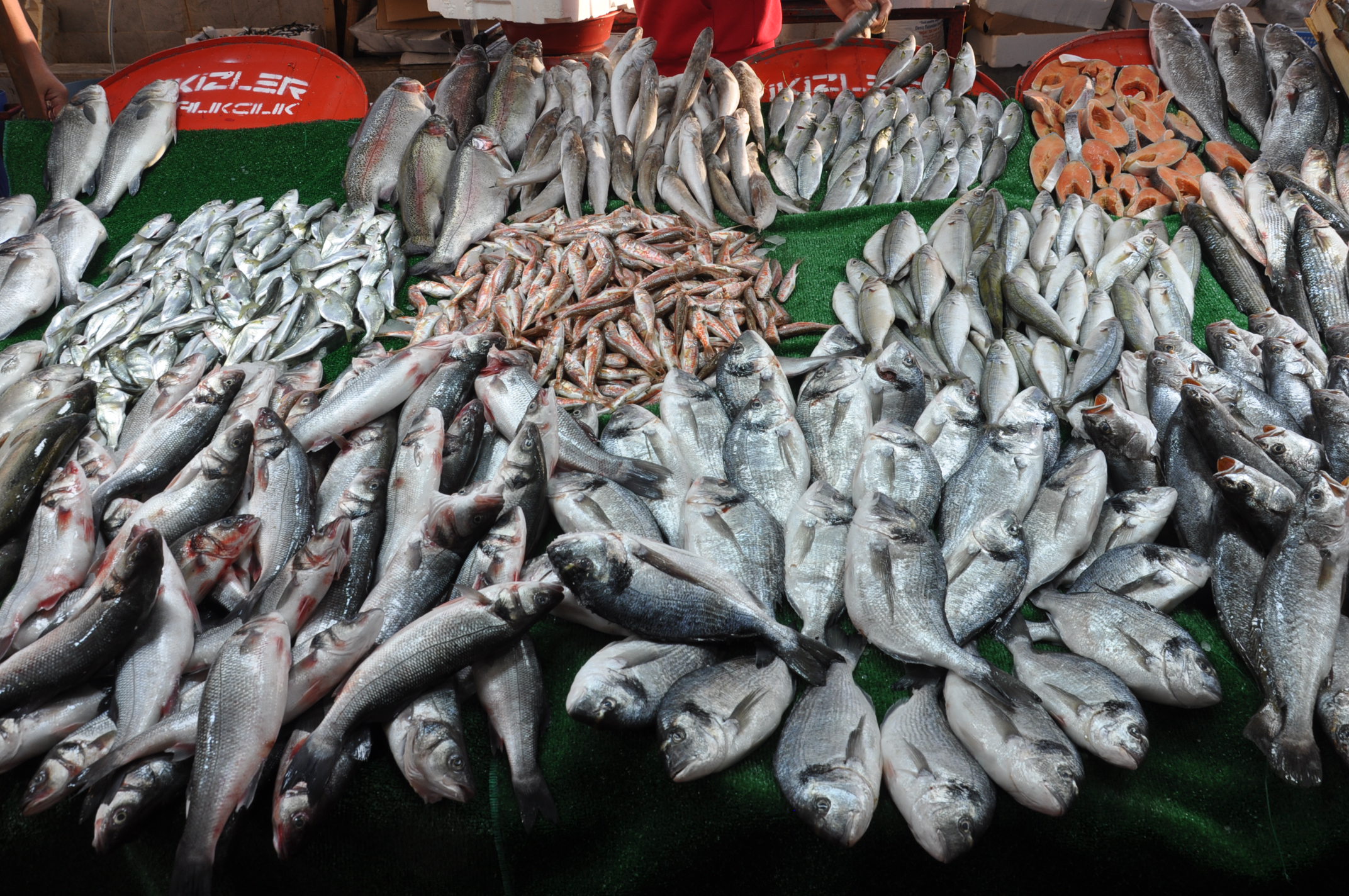 Salihli Carsamba Pazarinda Balik Fiyatlari Tezgahlarda Balik Bereketi (1)