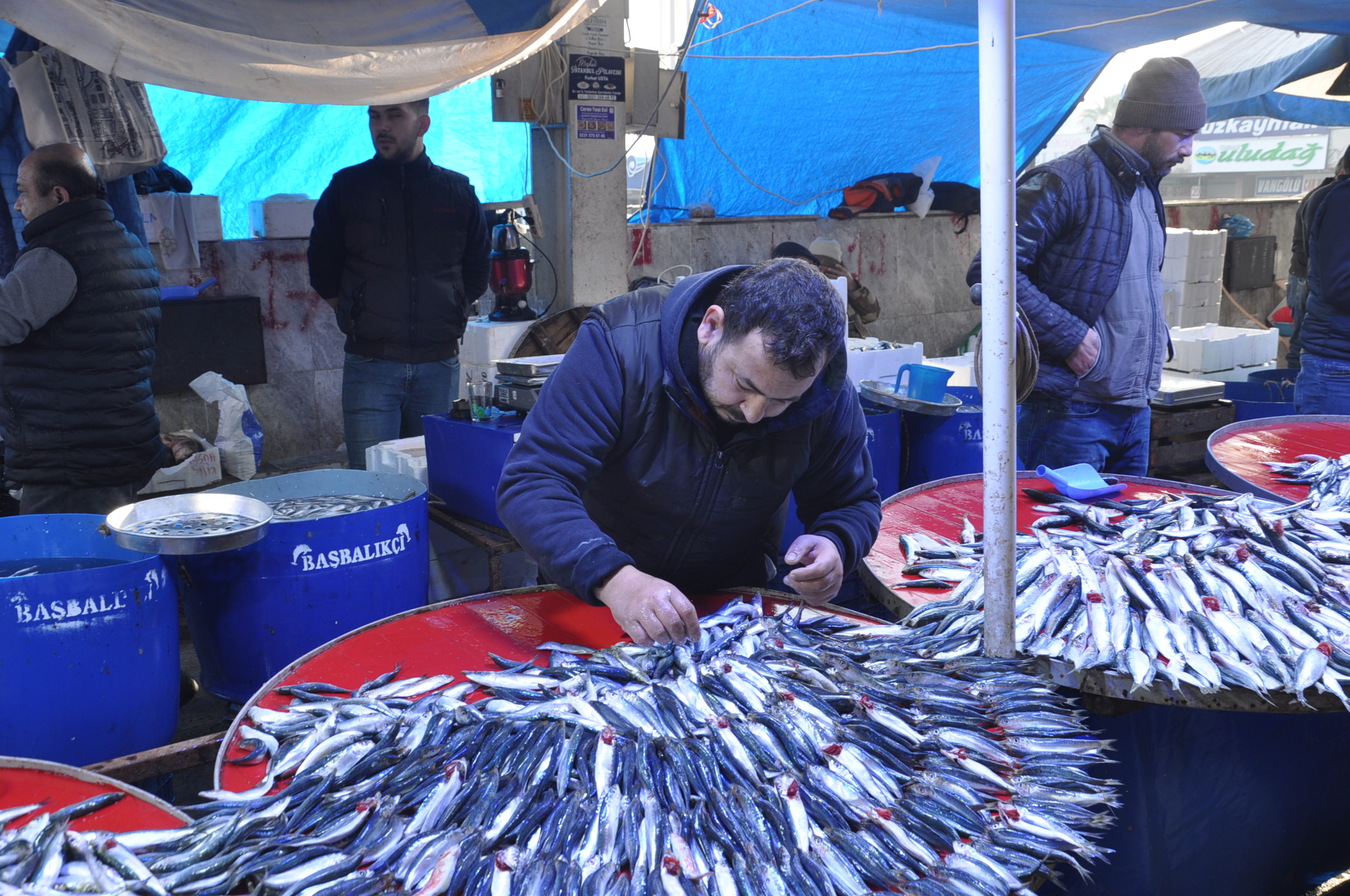 Salihli Carsamba Pazarinda Balik Fiyatlari Tezgahlarda Balik Bereketi (11)