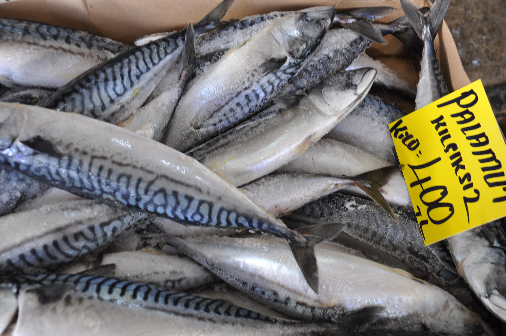 Salihli Carsamba Pazarinda Balik Fiyatlari Tezgahlarda Balik Bereketi (15)