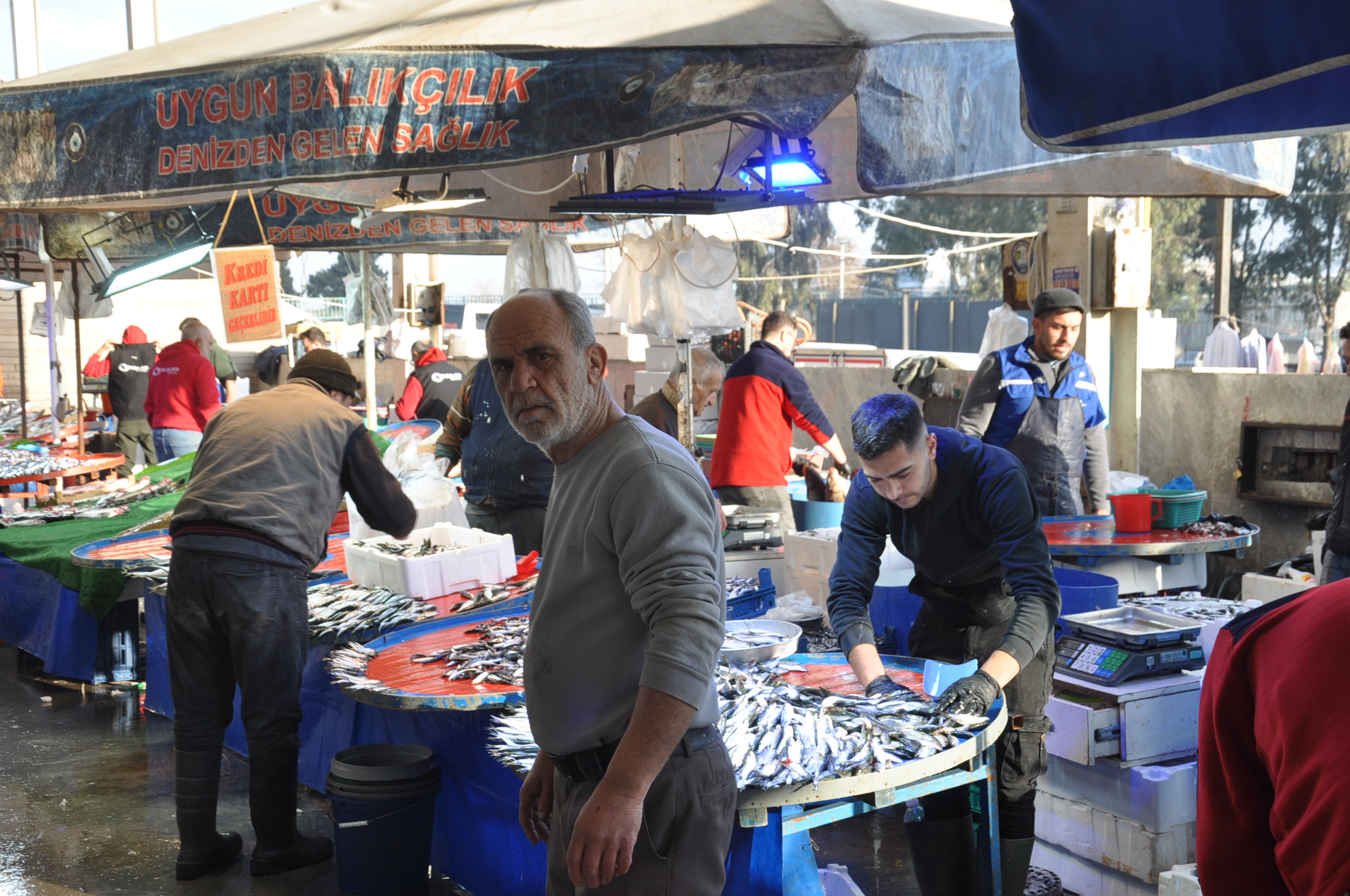 Salihli Carsamba Pazarinda Balik Fiyatlari Tezgahlarda Balik Bereketi (17)