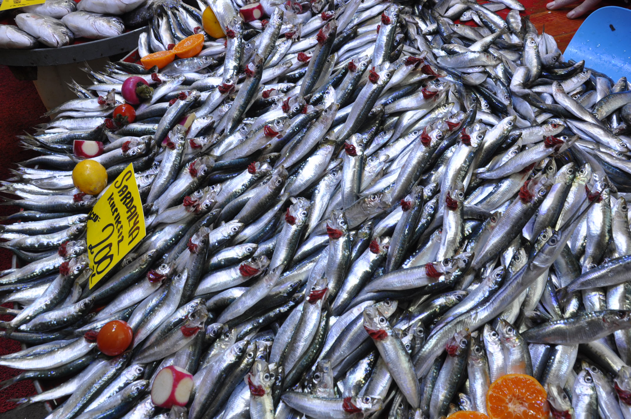 Salihli Carsamba Pazarinda Balik Fiyatlari Tezgahlarda Balik Bereketi (9)