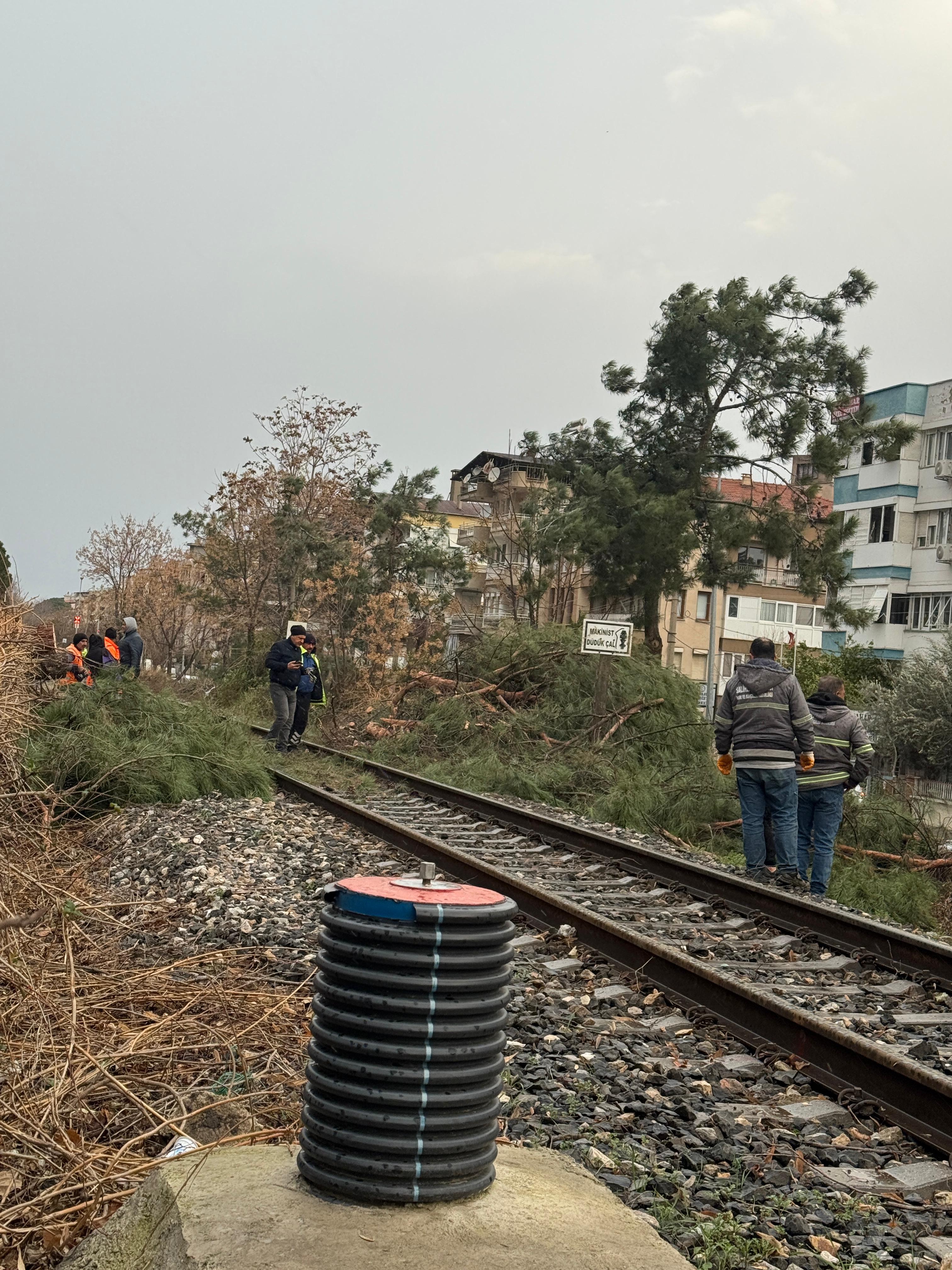 Salihli Fırtına (2)