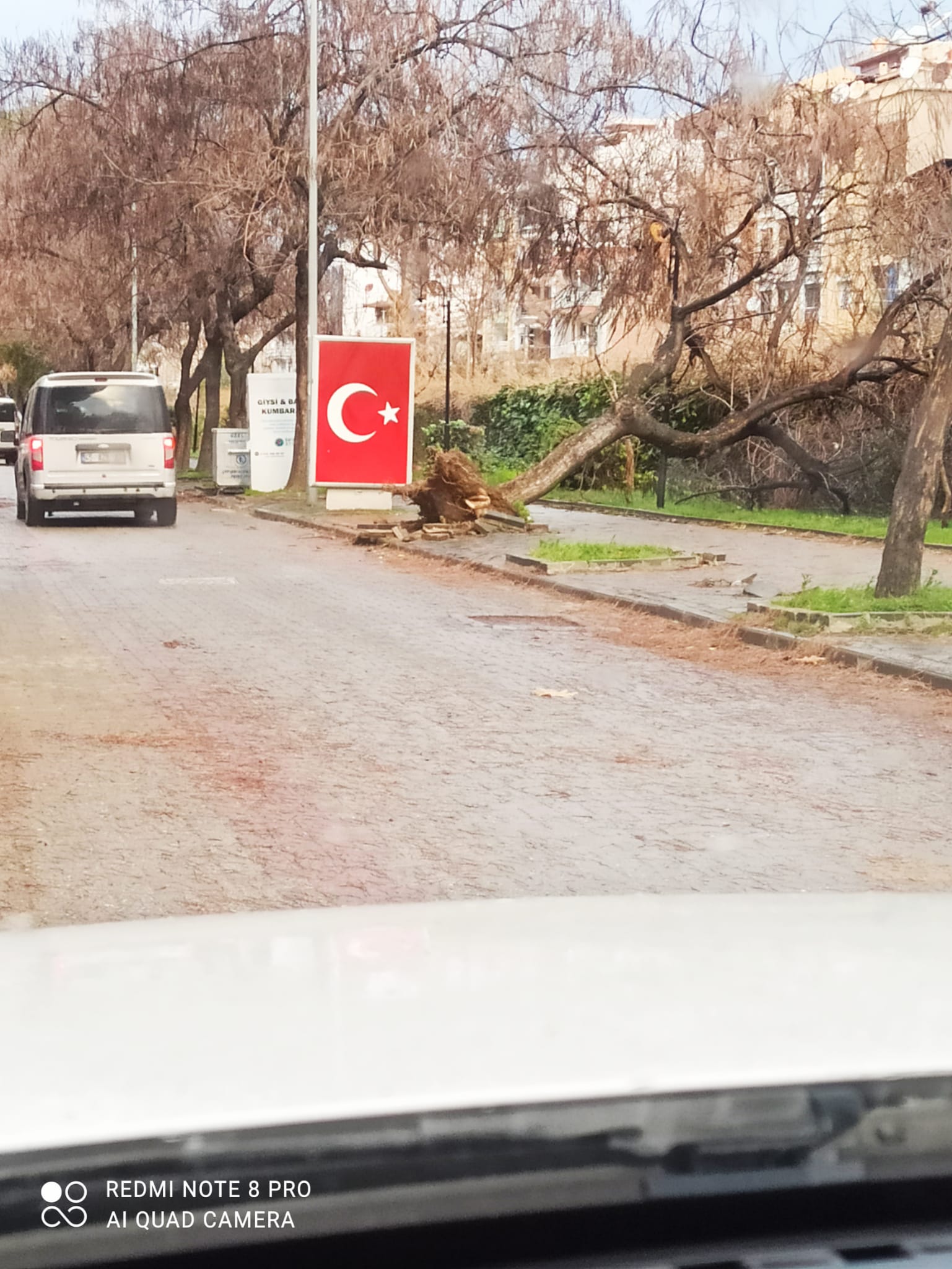 Salihli Fırtına (3)