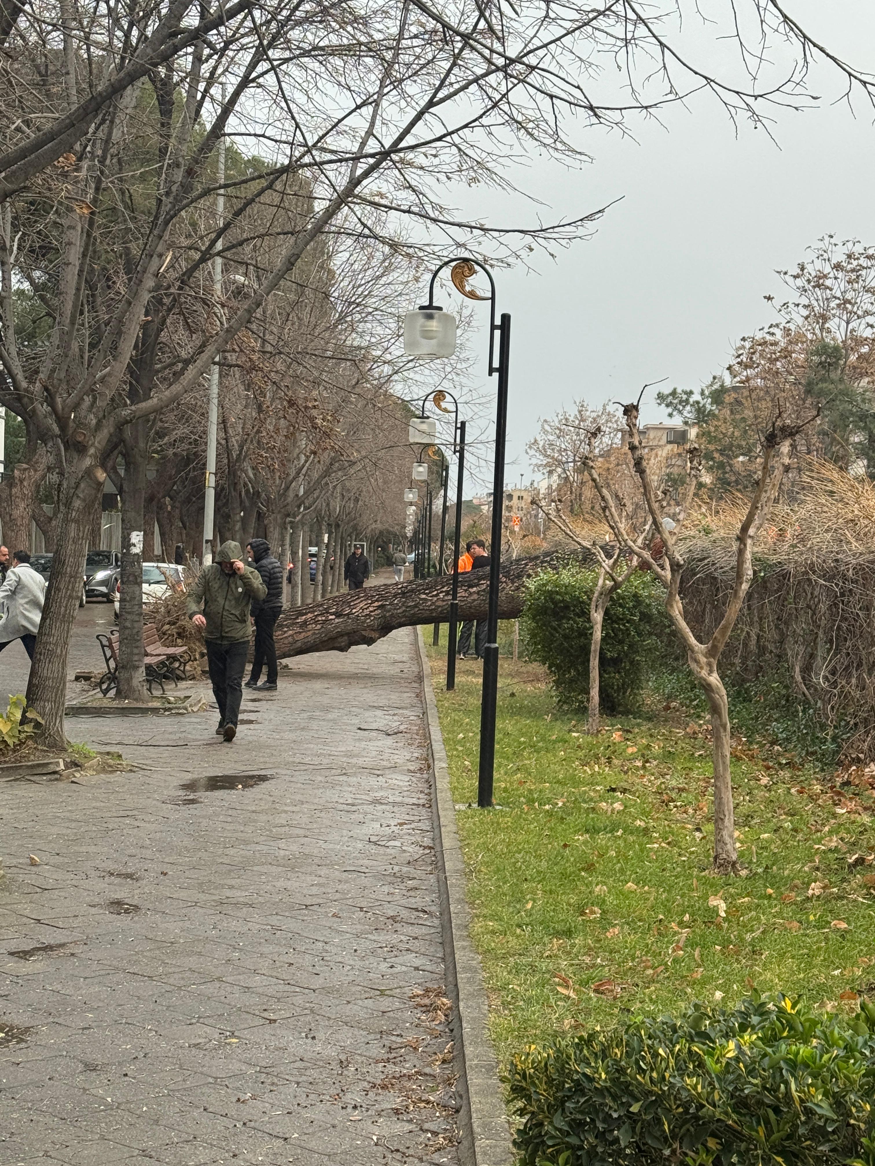 Salihli Fırtına (4)