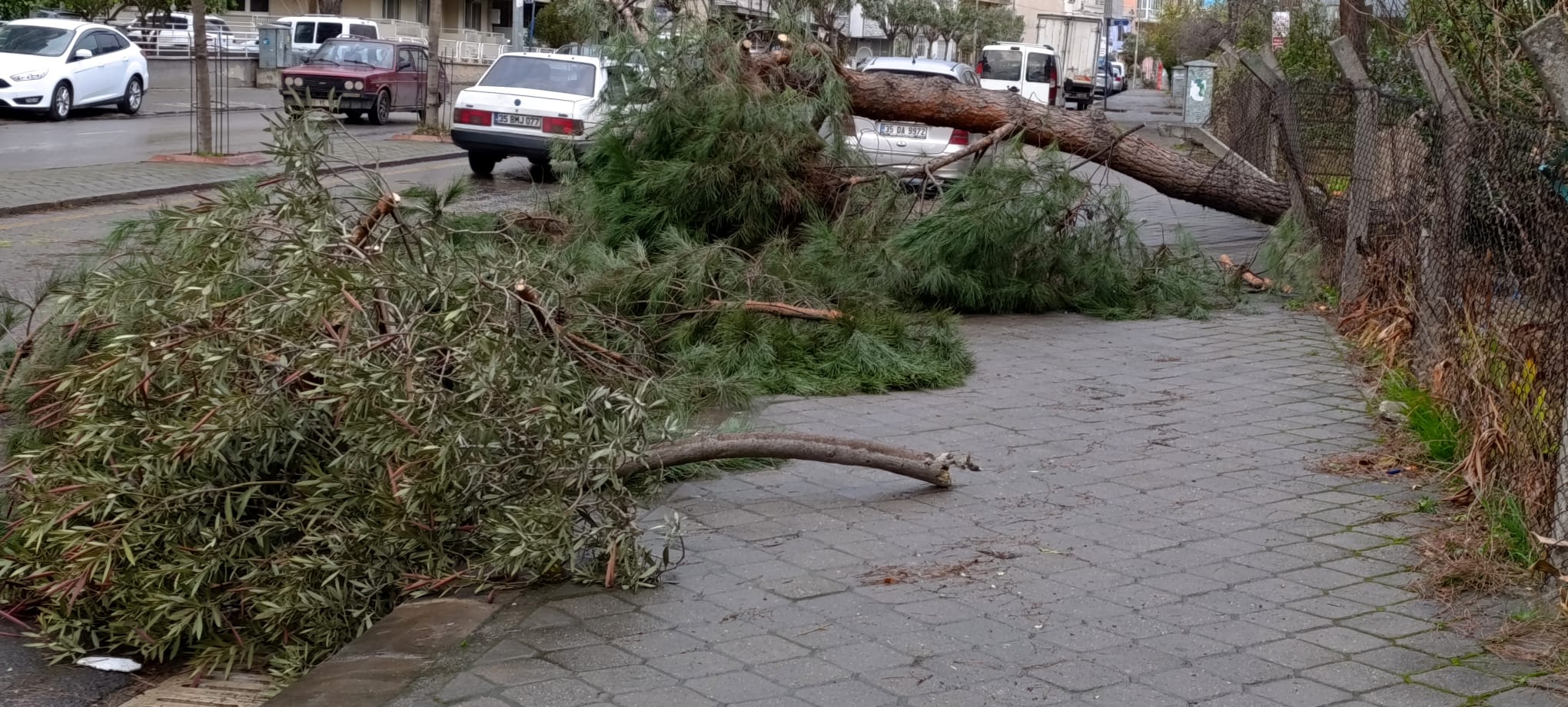 Salihli Fırtına (5)