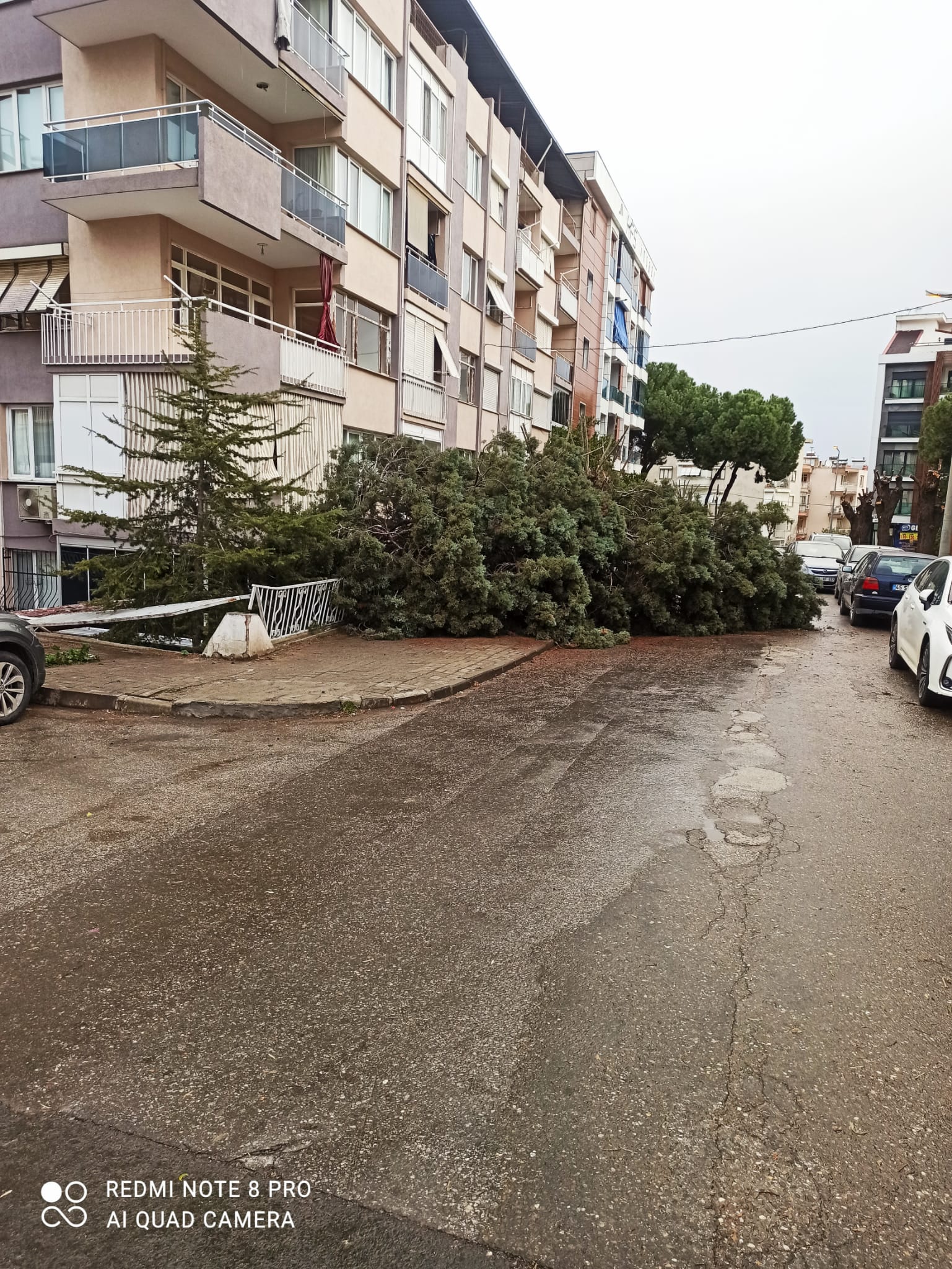 Salihli Fırtına (6)