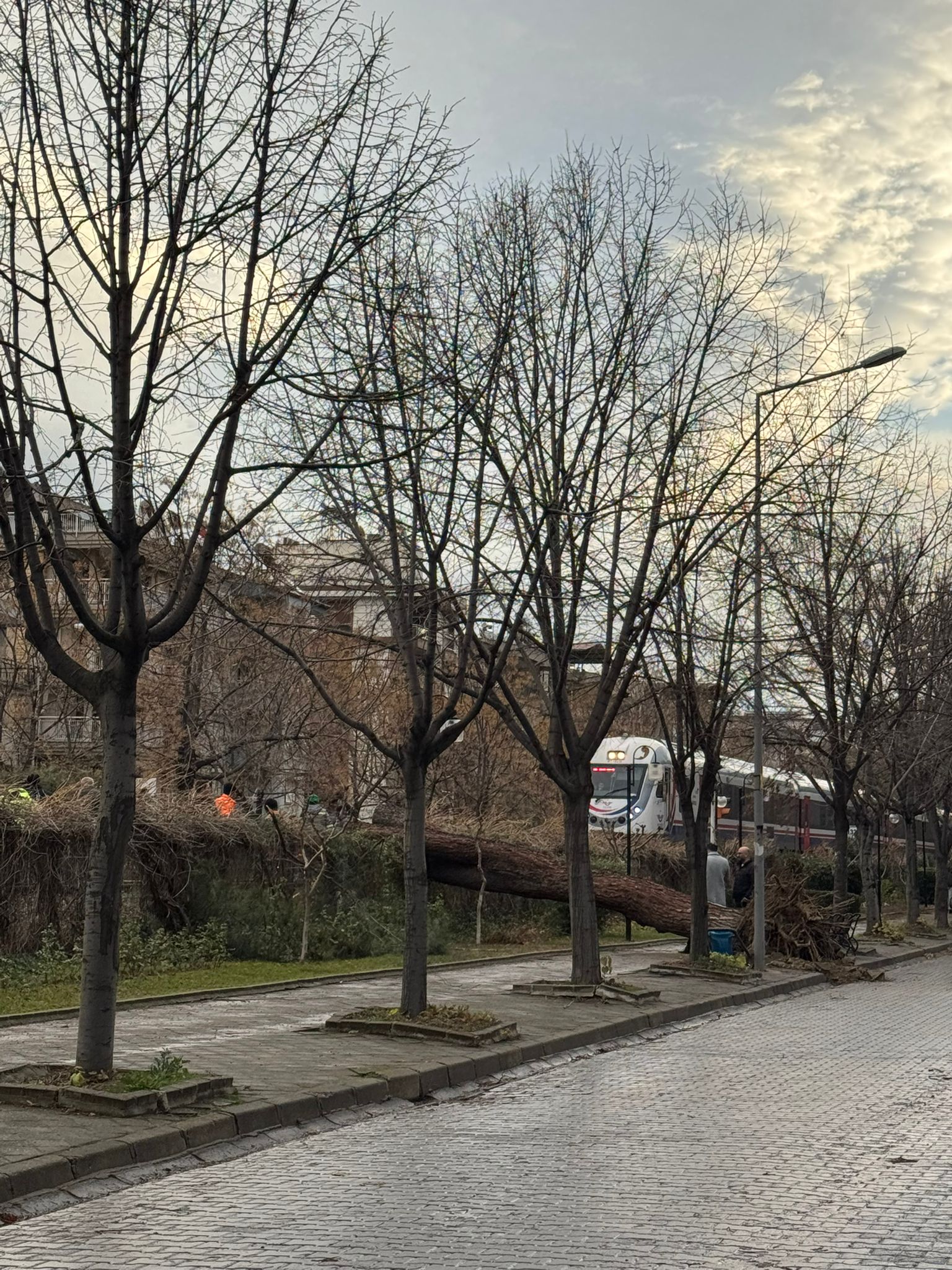 Salihli Fırtına (7)