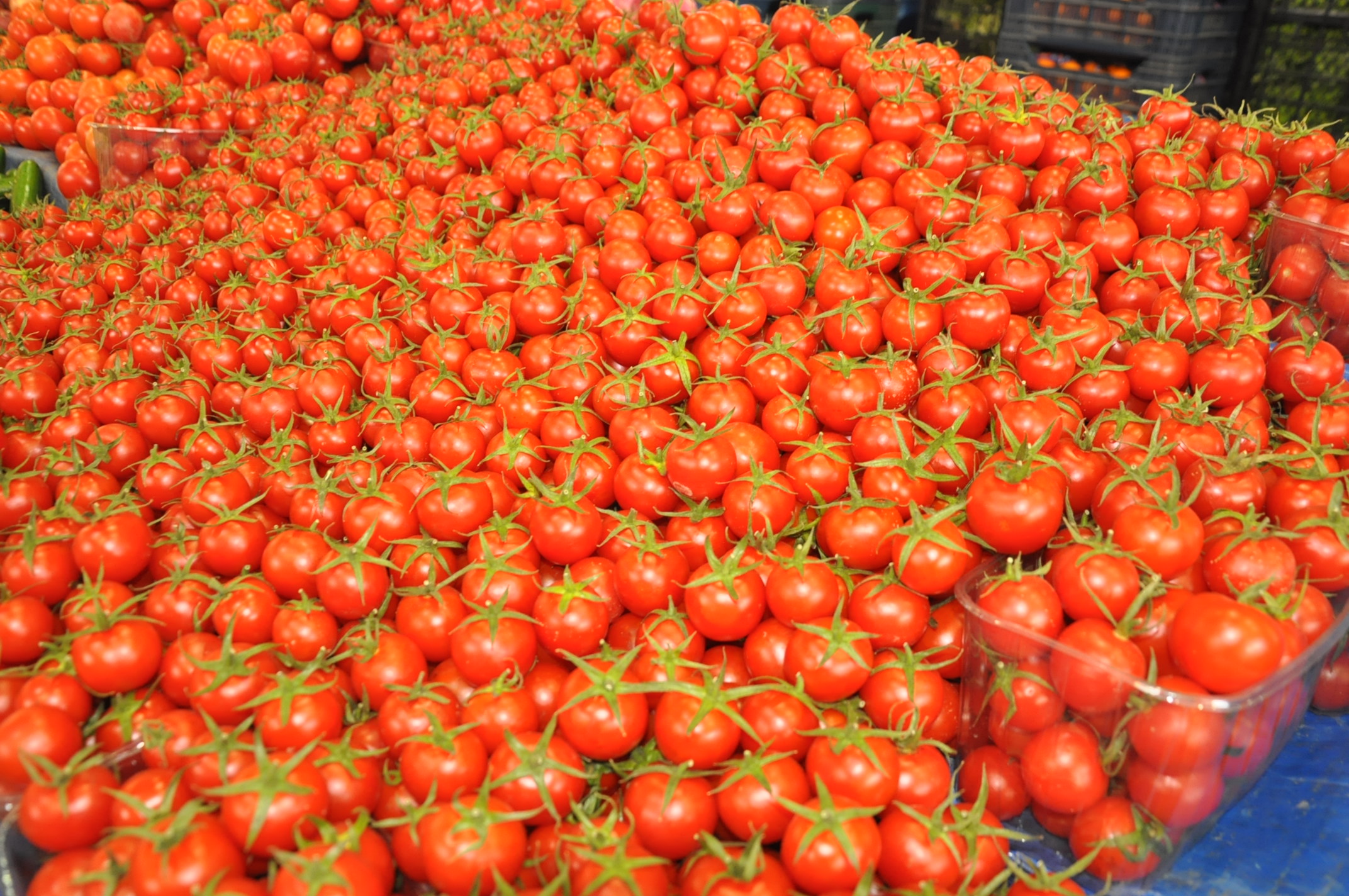 Salihli Icin Pazardaki Guncel Fiyatlar 7 Aralik Carsamba Pazarin En Palasi Cilek (6)