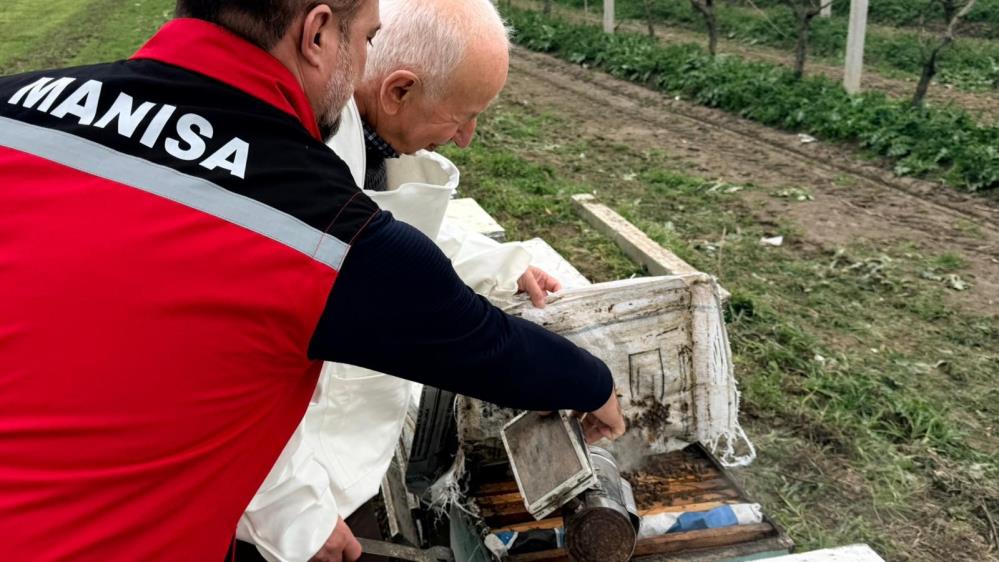 Saruhanlı Arıcılık Eğitim (3)