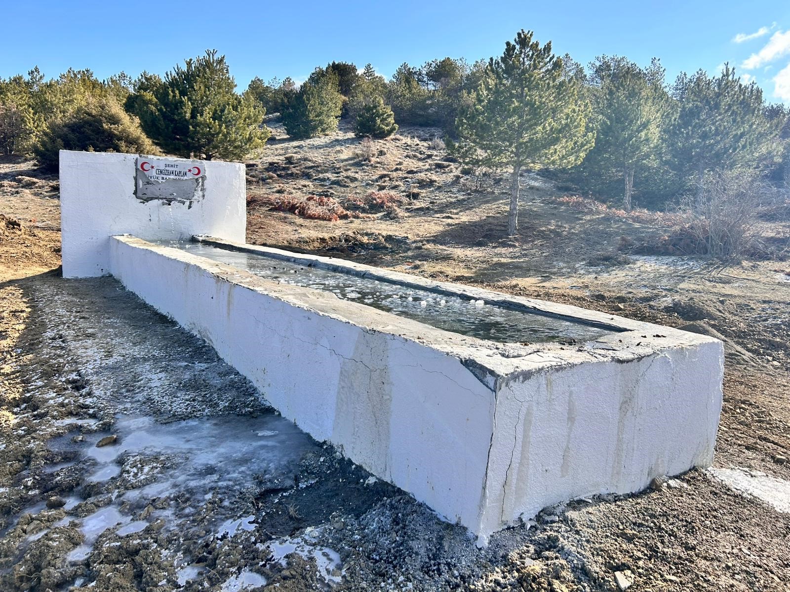 Sehidimizin Emanetine Uzanan Kirli Eller O Tasi Sokmezsen Kan Dokulur Diyerek Tehdit E (2)