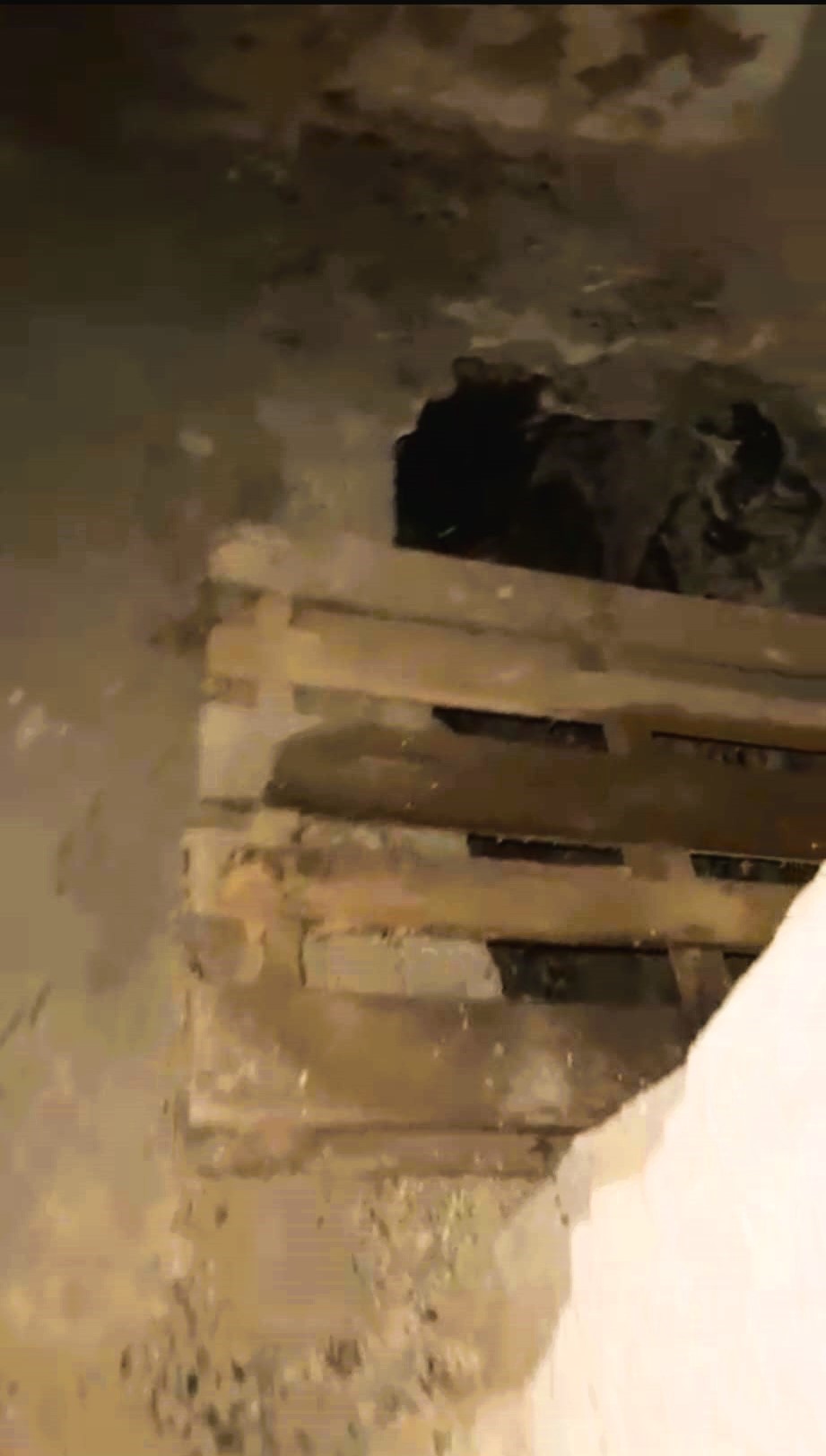 Sesler Gelince Ortaya Cikti Defineciler Talan Etmis (1)-2