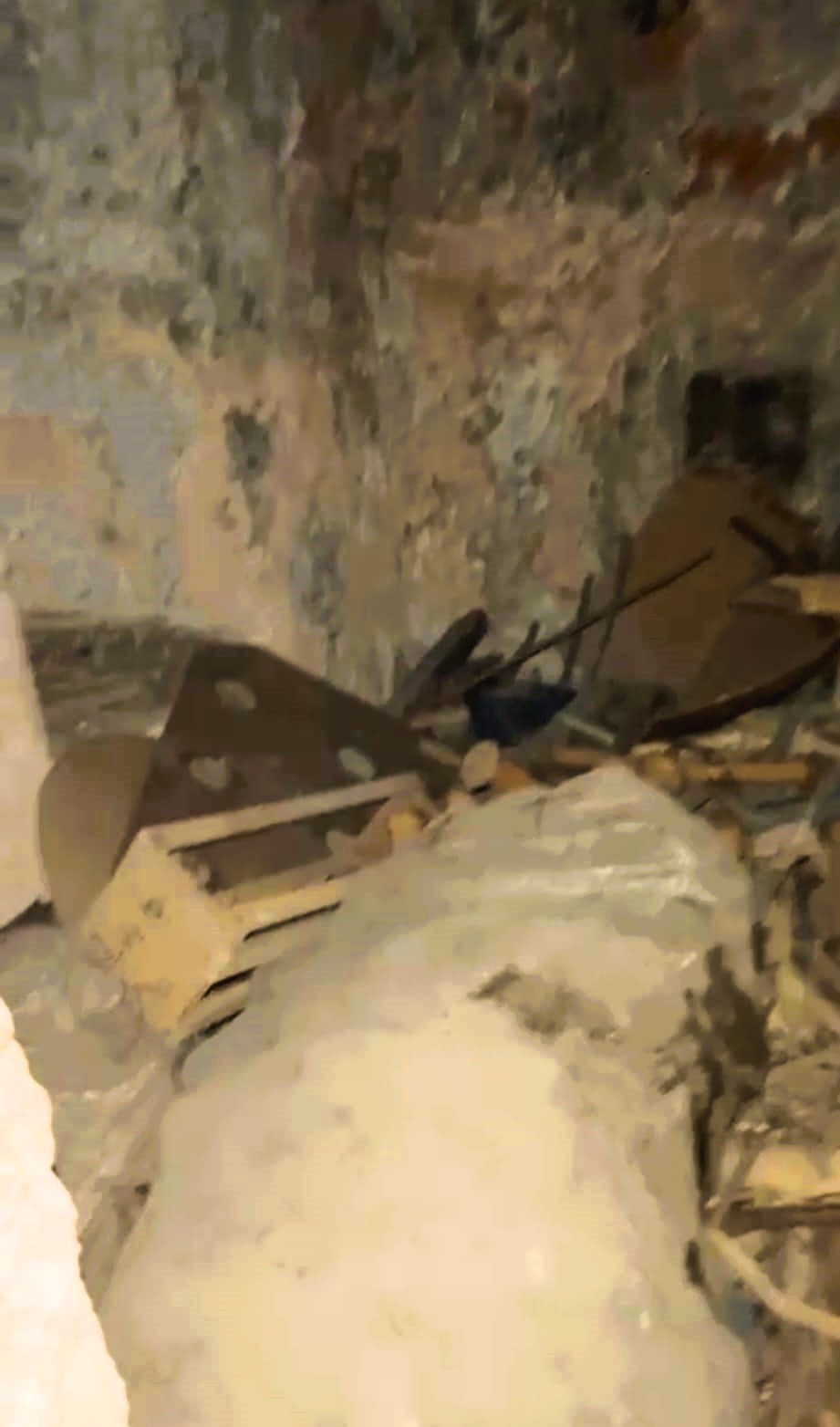 Sesler Gelince Ortaya Cikti Defineciler Talan Etmis (2)