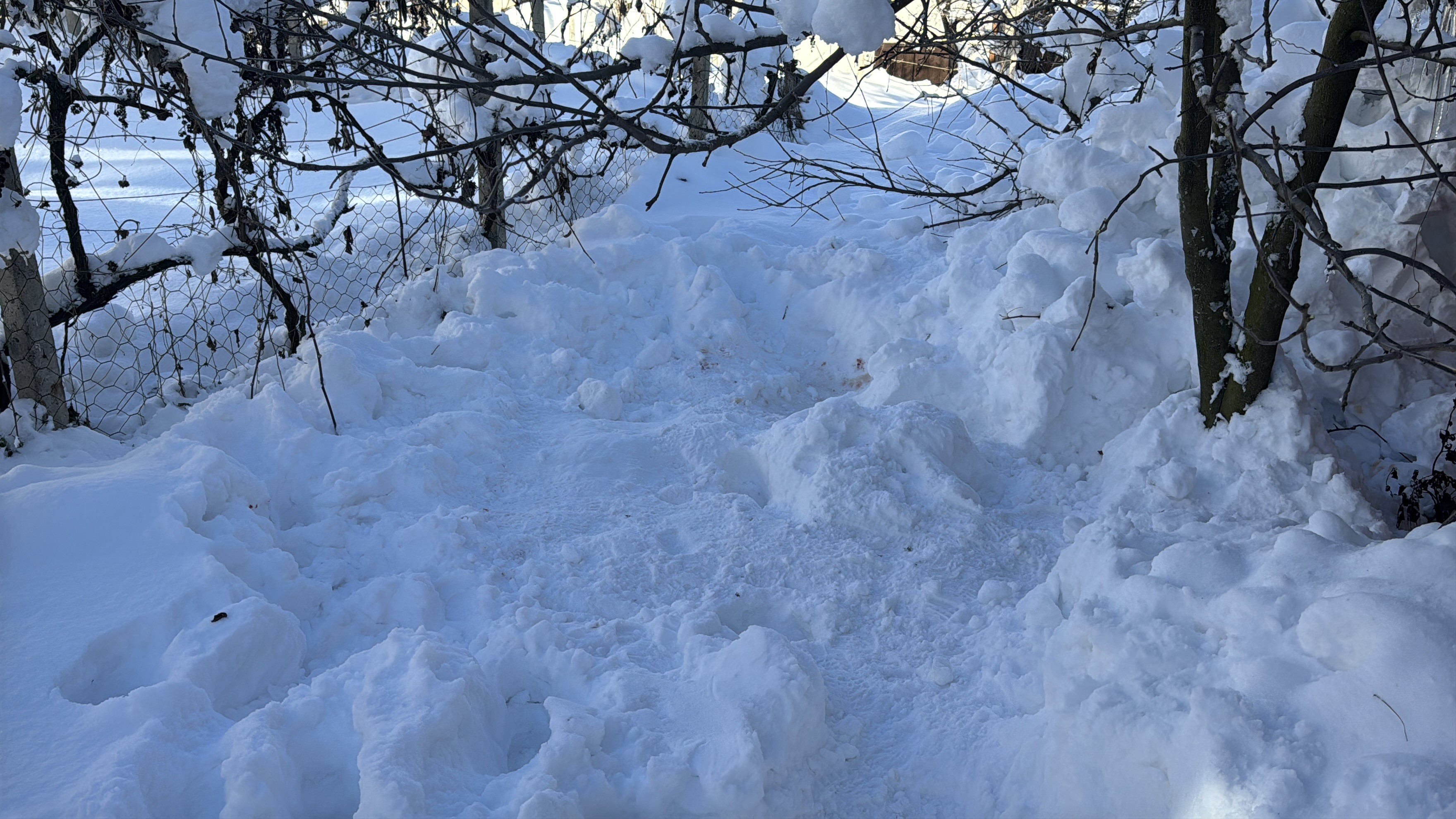 Soguk Can Aldi 80 Yasindaki Kadin Arka Bahcede Olu Bulundu (3)