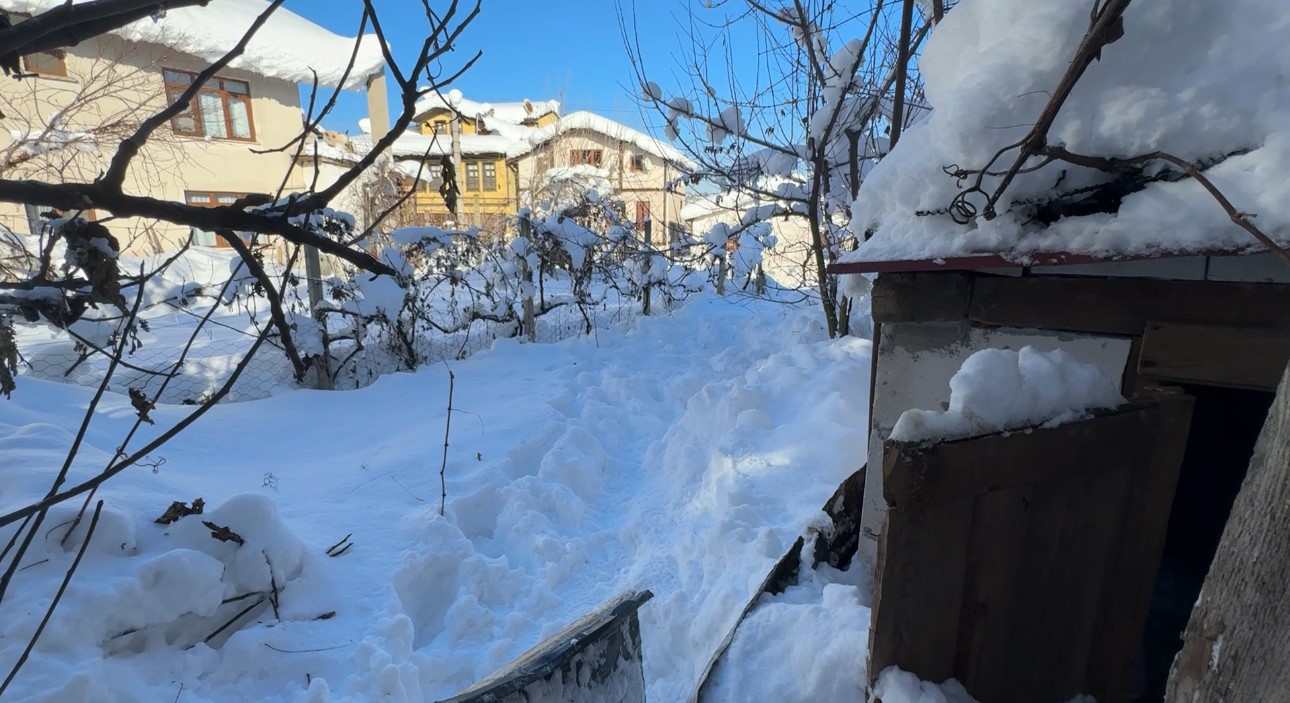 Soguk Can Aldi 80 Yasindaki Kadin Arka Bahcede Olu Bulundu (4)