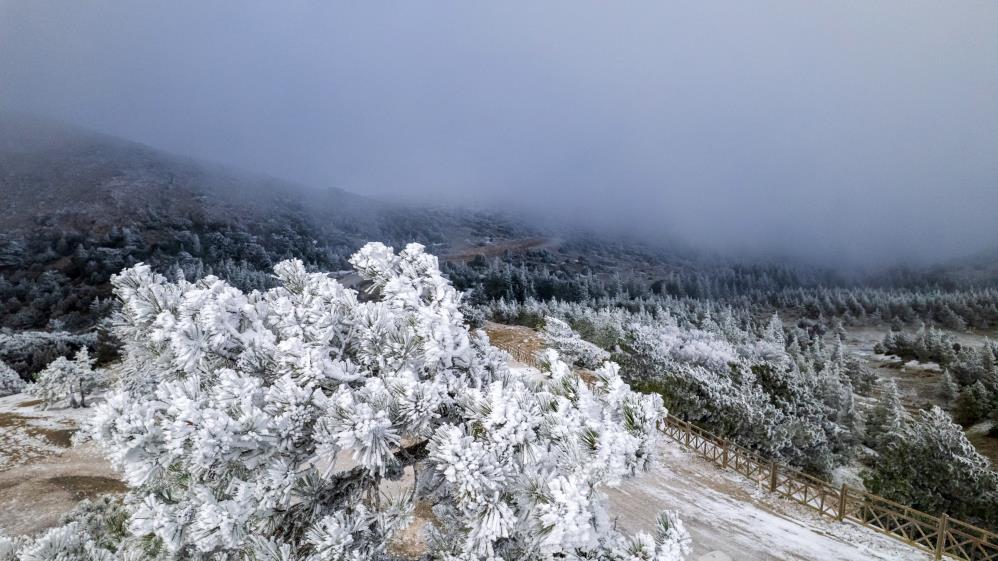 Spil Dagi Milli Parki Buz Kesti (3)