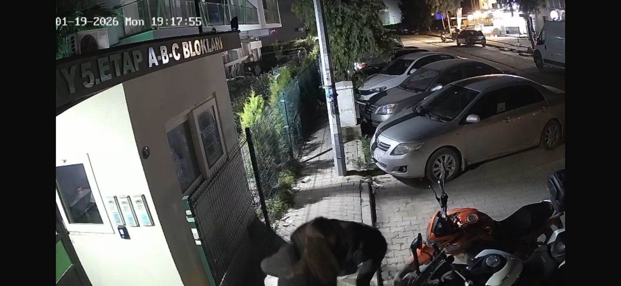 Uzaklaştırma Kararı Vardı, Pusu Kurup Öldürdü Eski Sevgilinin Kurşun Yağmuru Kamerada (3)