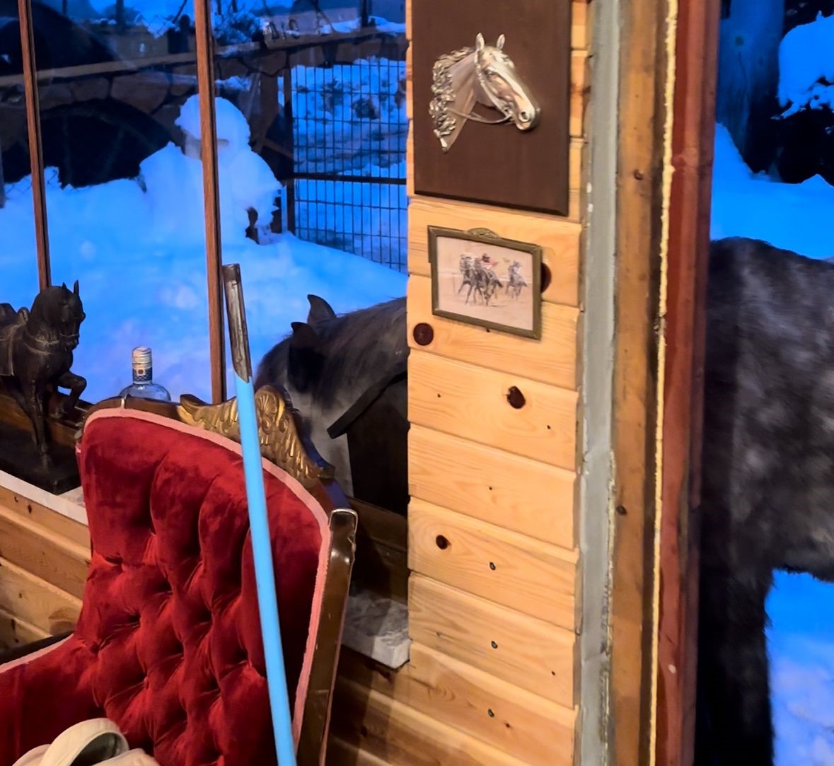 Vahsi Dogadan Evin Esigine Gecen Gun Sizi Doyurmadim Mi Diyerek Boyle Karsiladi (5)