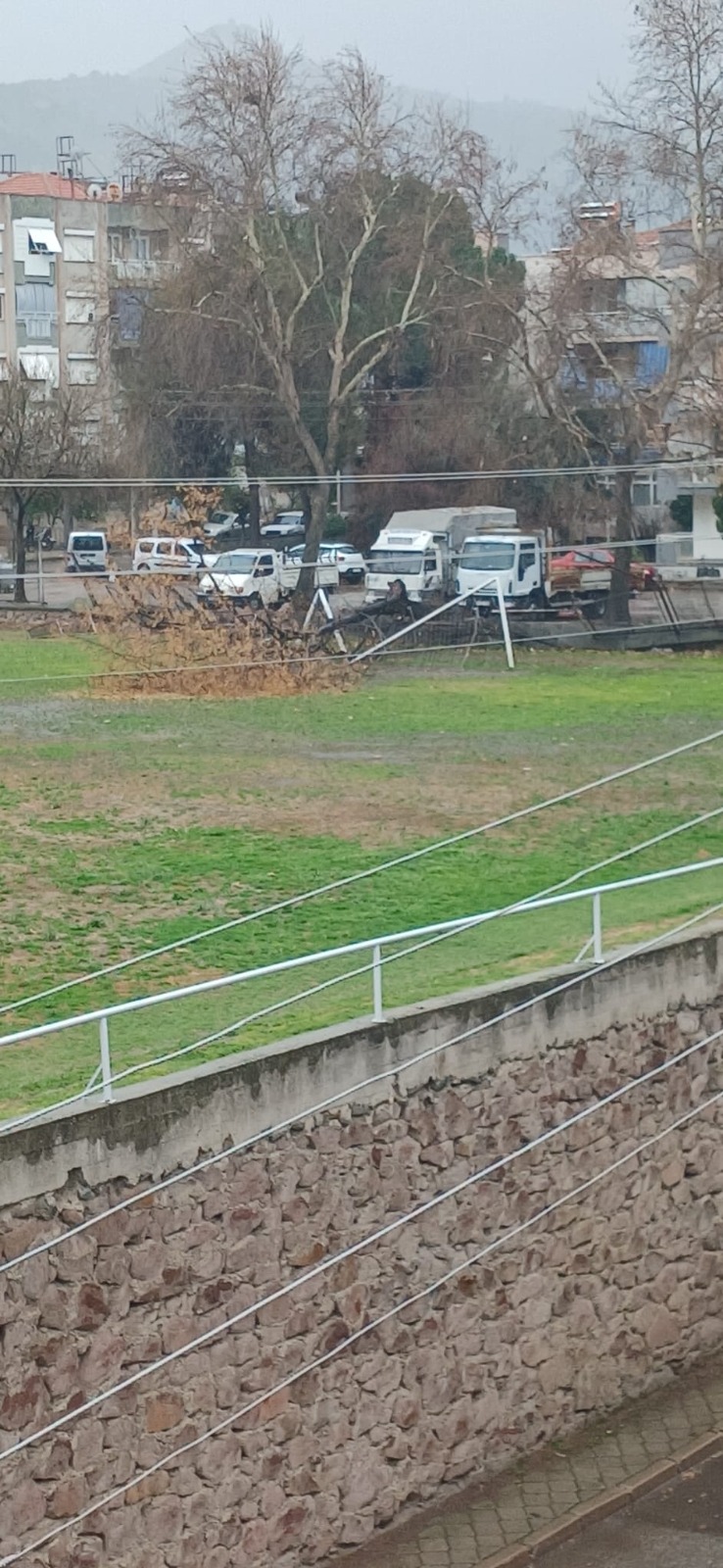 Whatsapp Image 2026 01 08 At 15.34.29