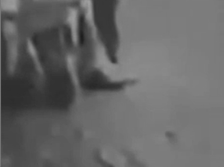 Yerdeki Cuzdani Gordu Cebine Atti O Anlar Kamerada (2)