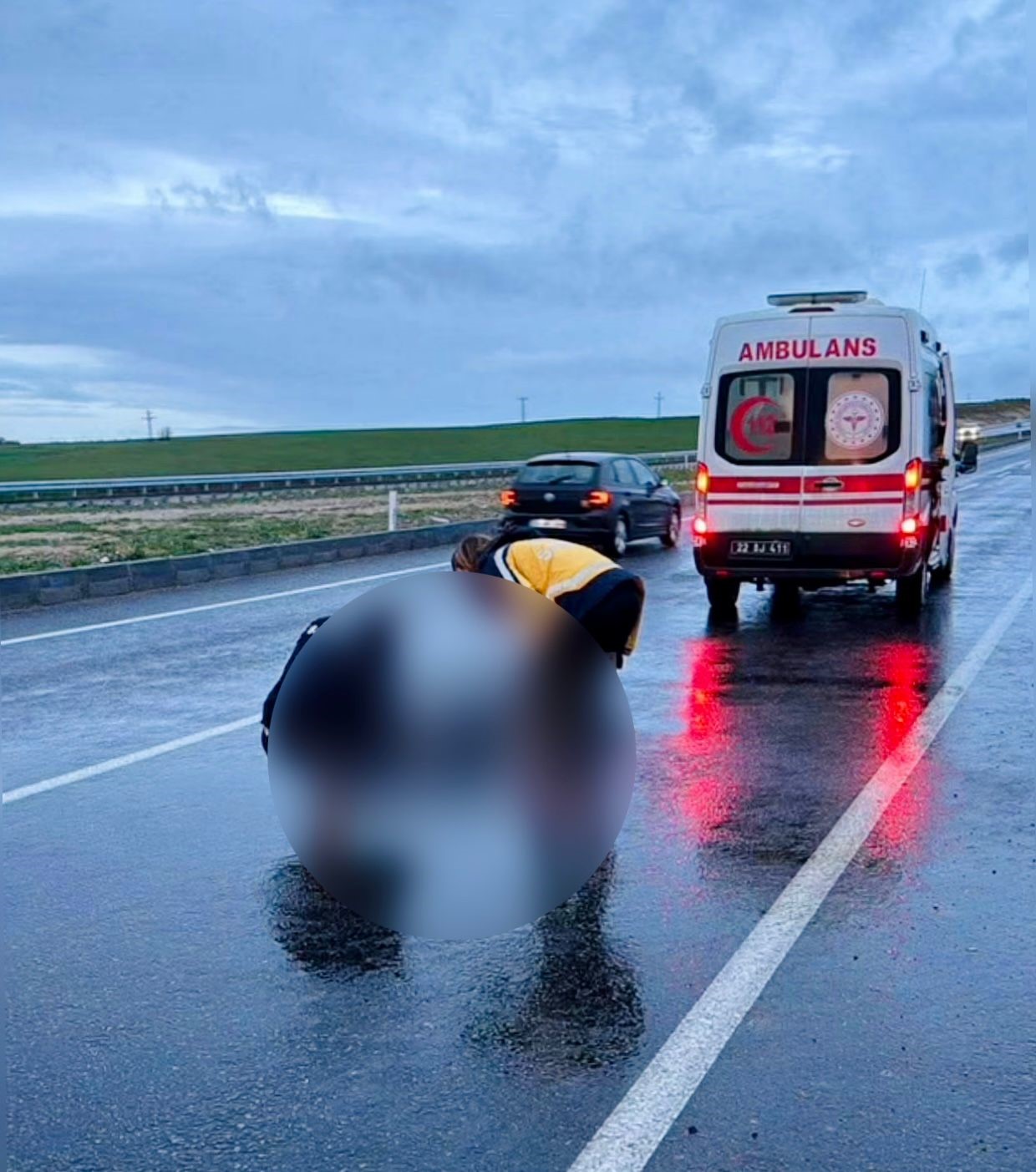 Yolun Karsisina Gecmek Isterken Canindan Oldu 4 (2)