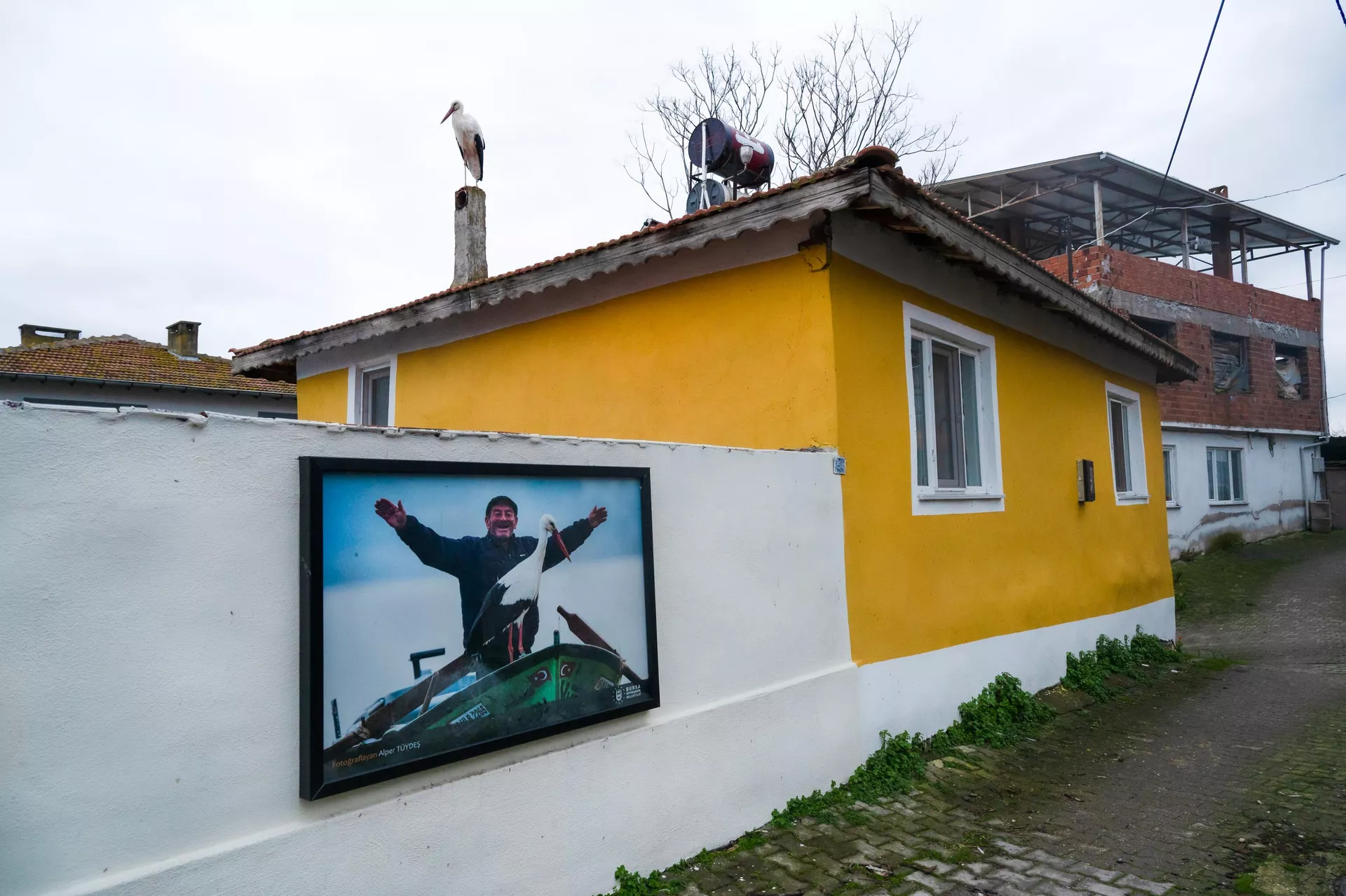 15 Yildir Ayni Dostluk Balikci Adem Yilmazin Kayigina Konan Yaren Leylek Bu Yil Da Goc (3)