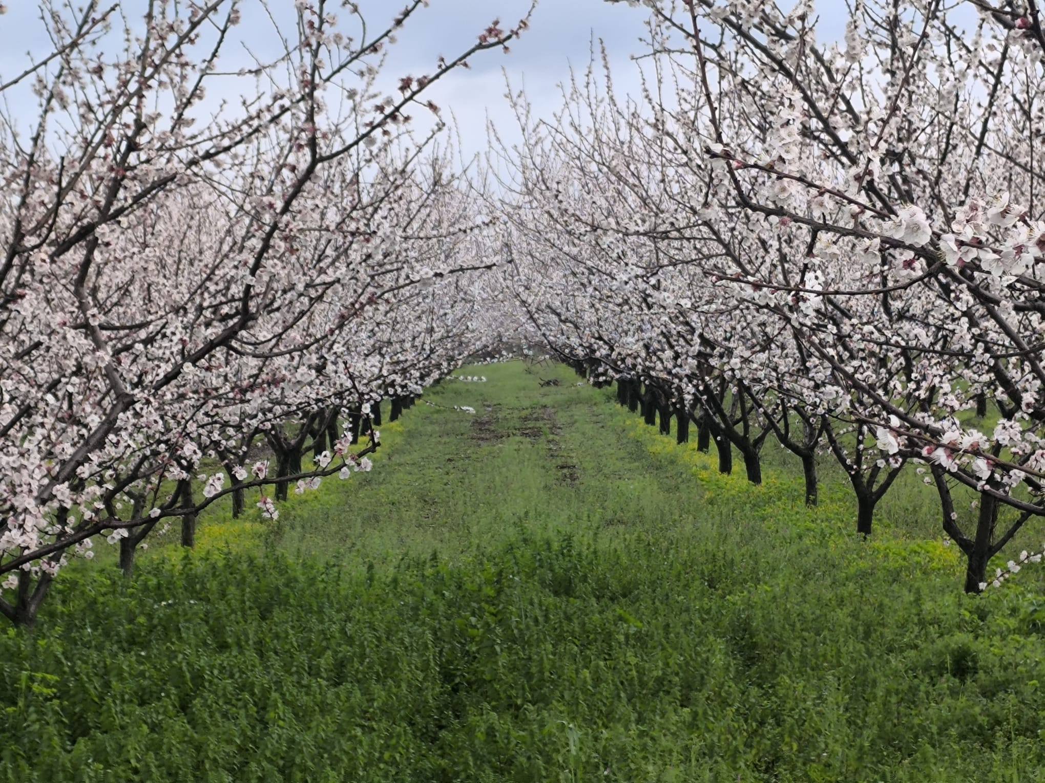 637425829 1349545607190324 2045747673239684932 N