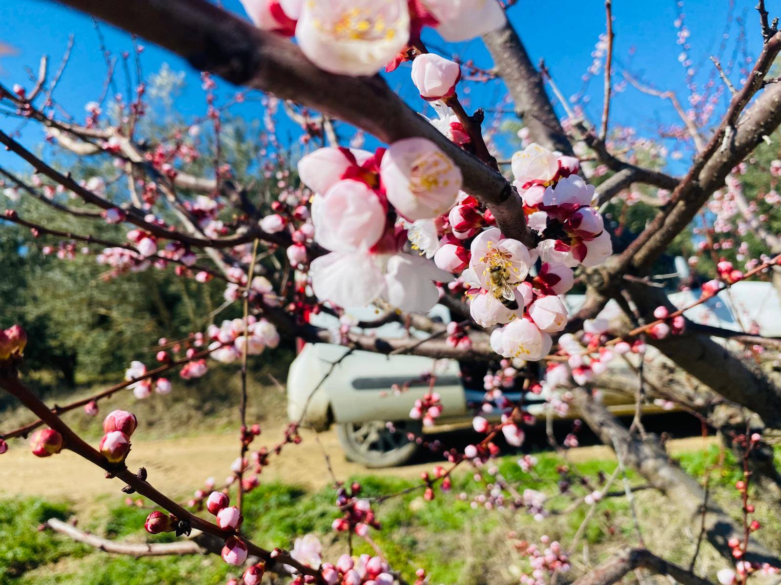 638972233 1349545350523683 4205498687850165259 N