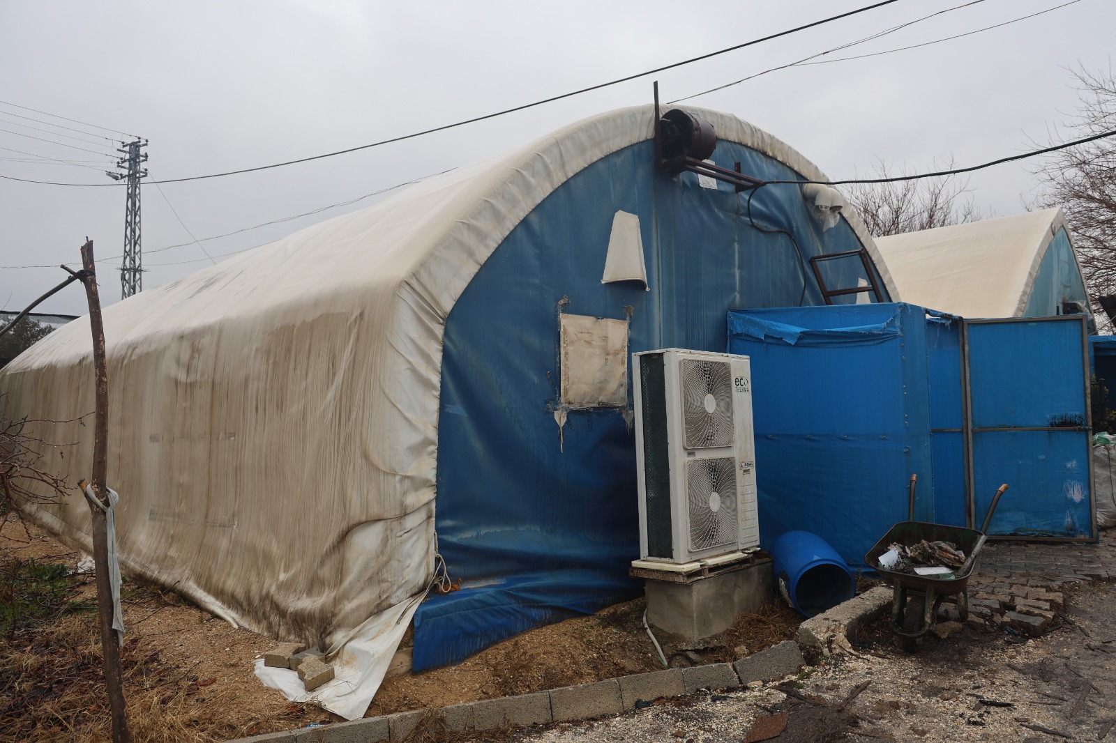 Ahırda Başladı, Çadırlara Taştı 77 Yaşında Üretim Başarısı (6)