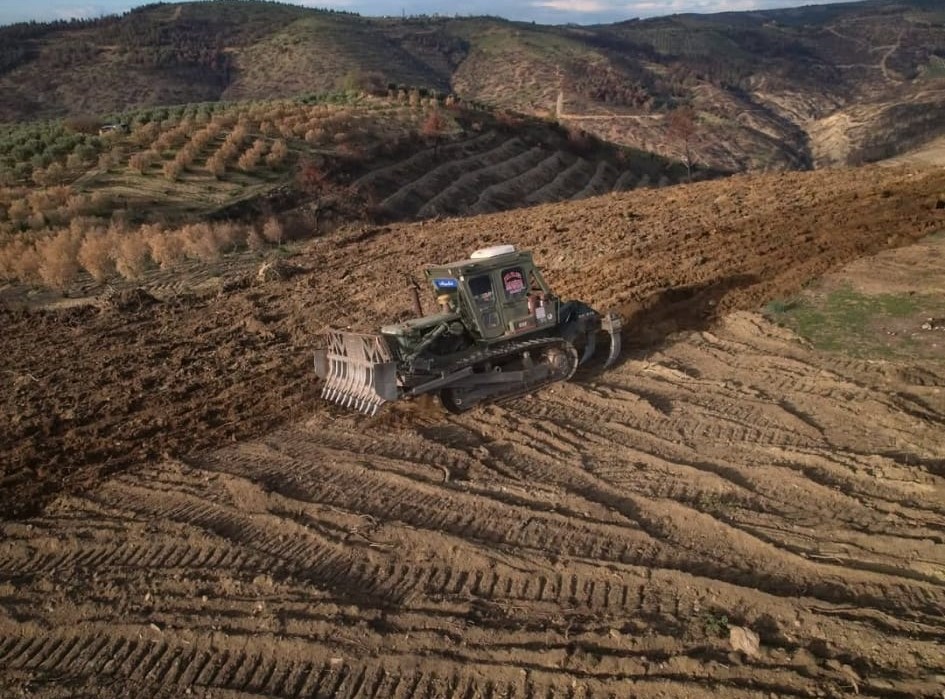 Akhisardaki Yangin Alanlari Yeniden Yeseriyor (3)