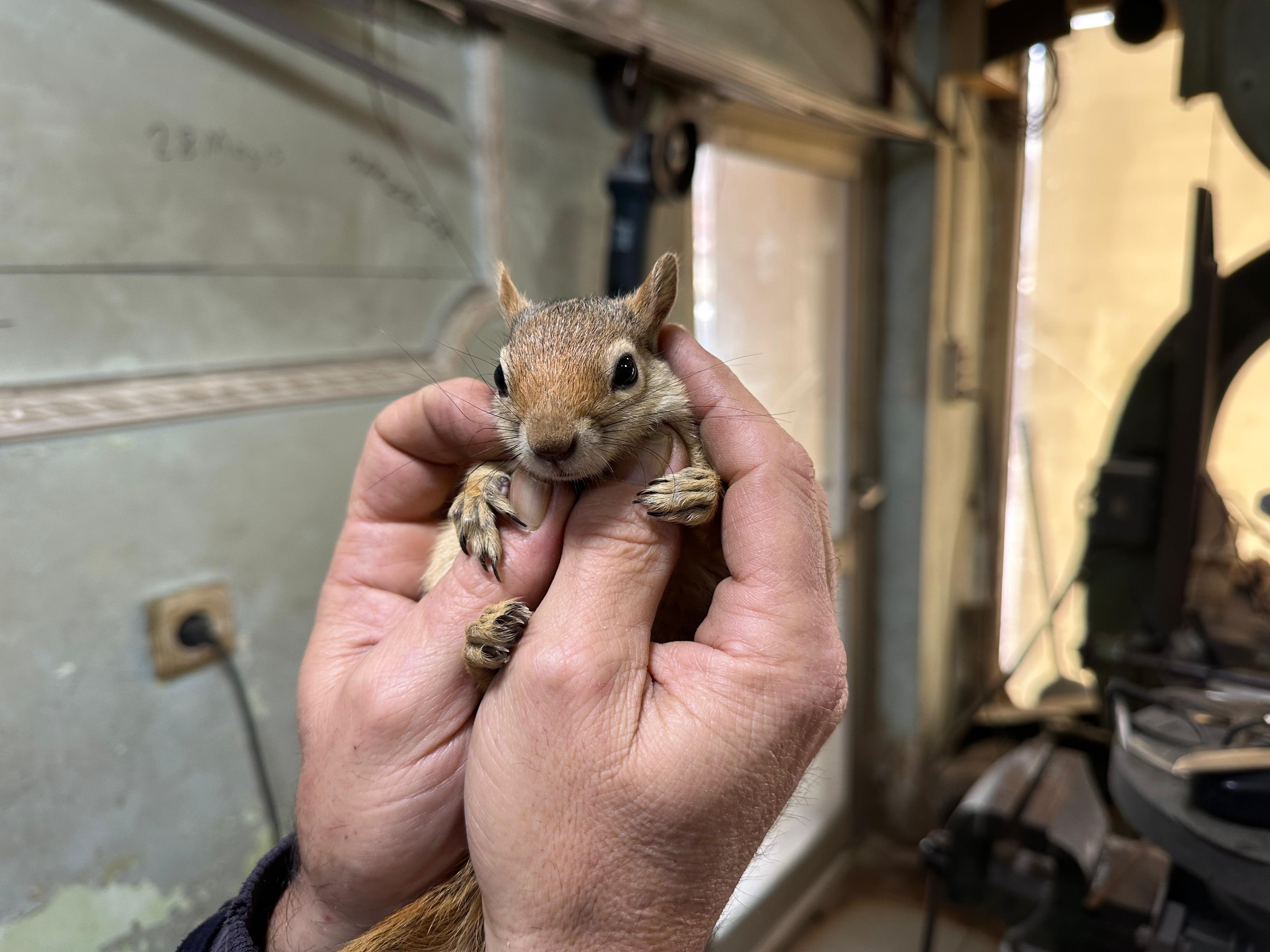 Annesi Saniyor Kahveye Markete Ise Her Yere Beraber Gidiyorlar (3)