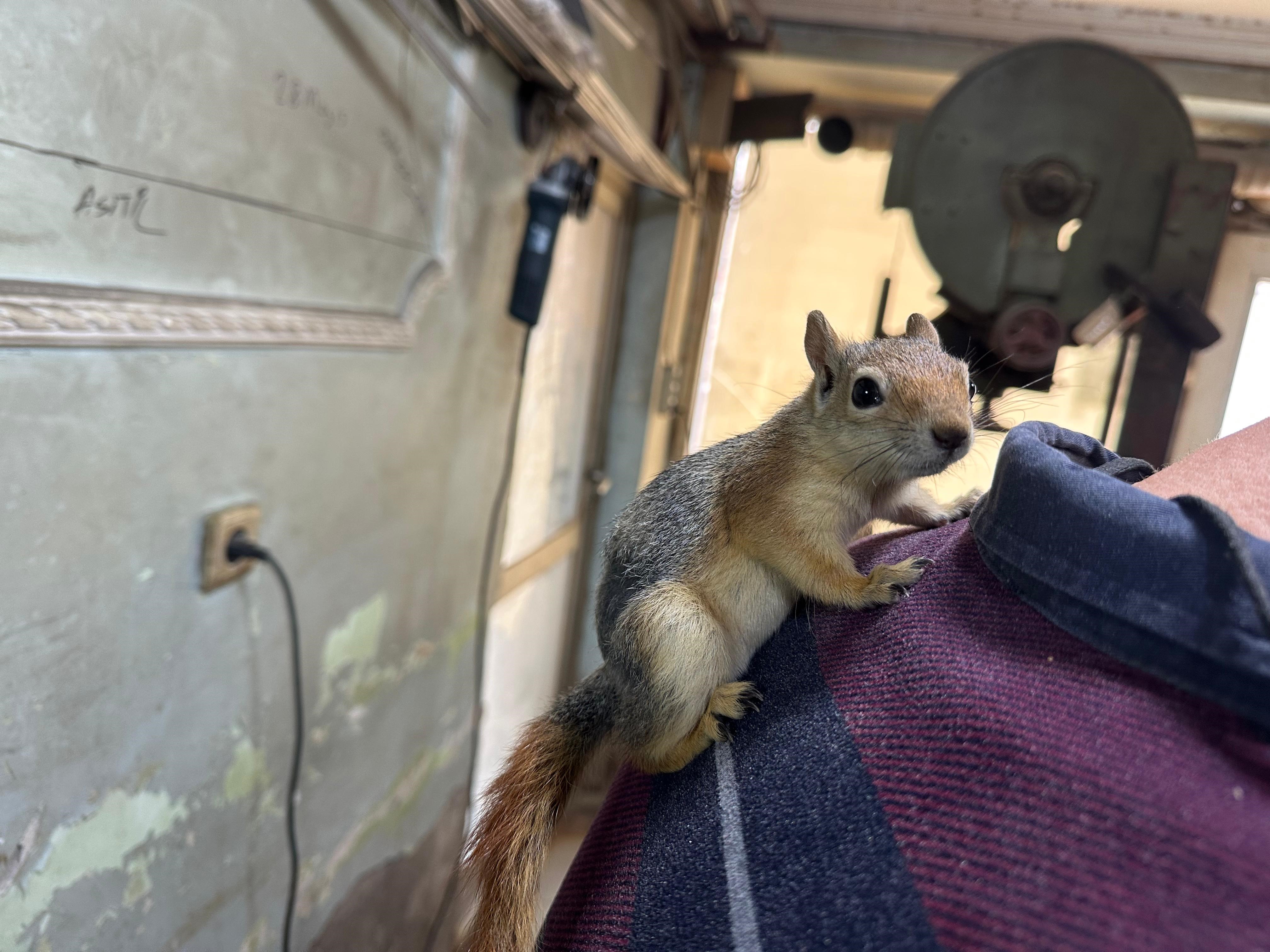Annesi Saniyor Kahveye Markete Ise Her Yere Beraber Gidiyorlar (7)