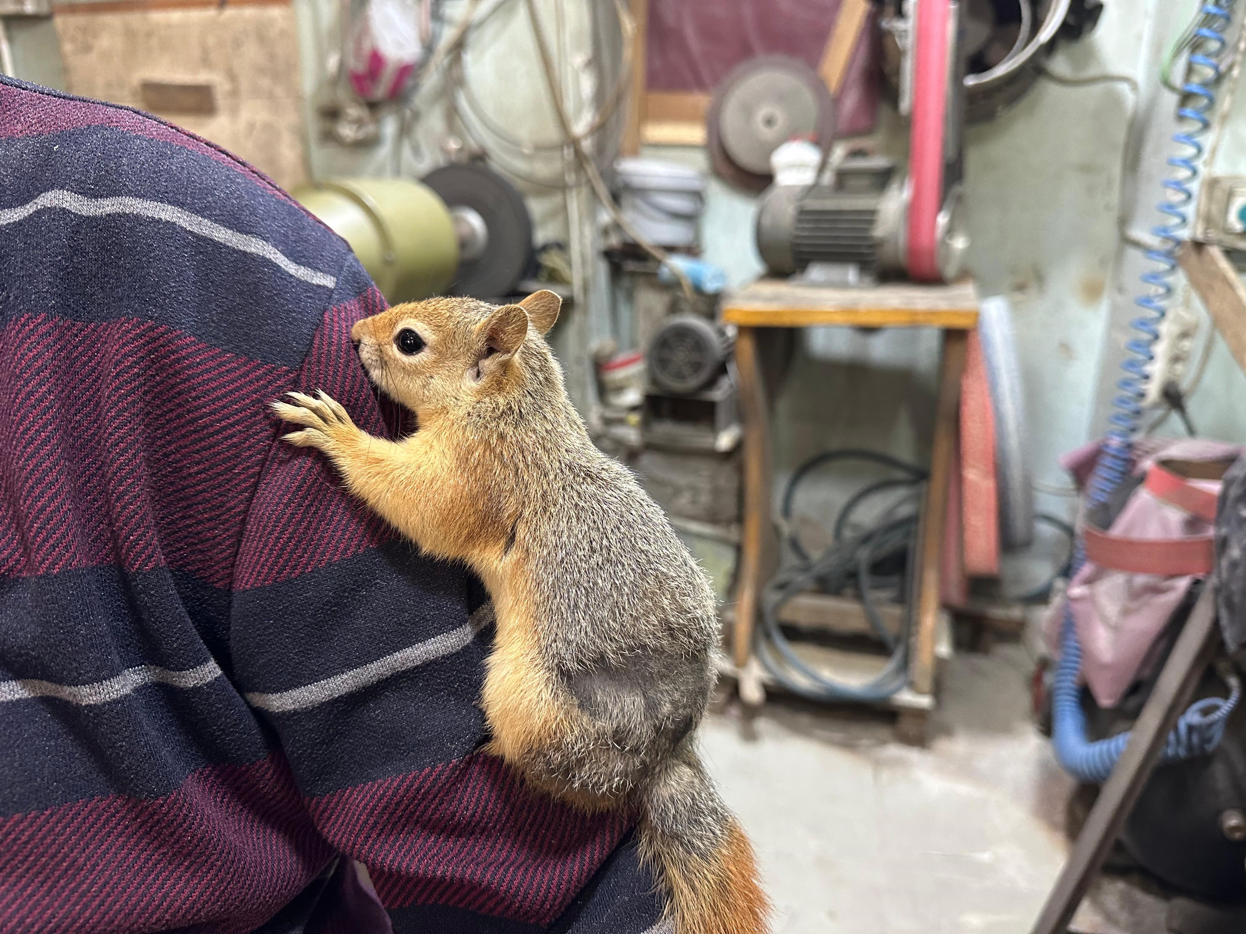 Annesi Saniyor Kahveye Markete Ise Her Yere Beraber Gidiyorlar (9)