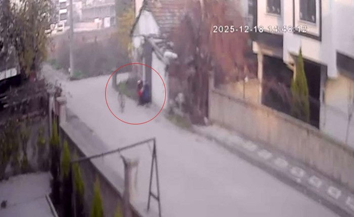 Bebek Arabasinda Servet 2 Milyonluk Altin Hirsizligi Kamerada (3)