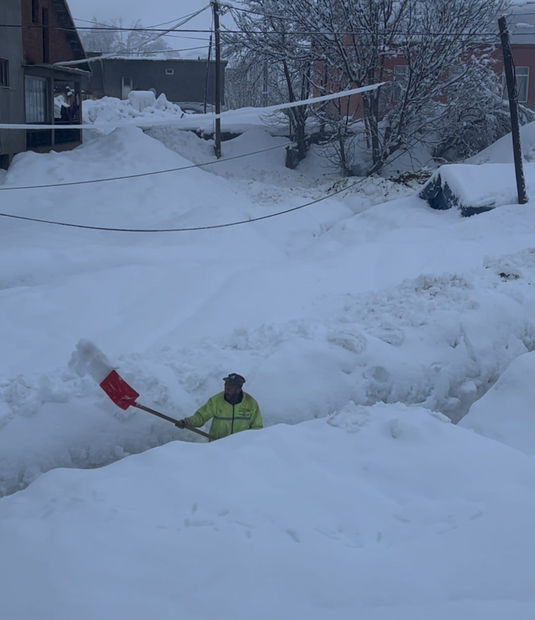 Beyaz Ortu Esir Aldi Inekler Karda Kayboldu (3)