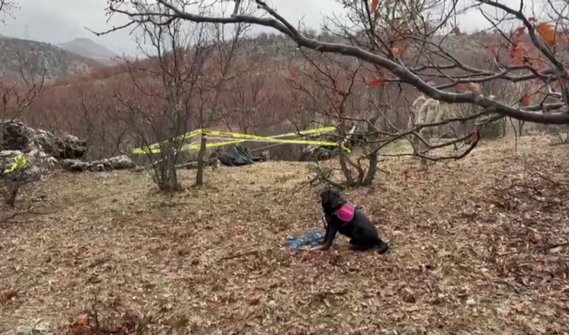Eve Dönmeyen Gençten Acı Haber! Günlerdir Aranıyordu, Ölü Bulundu (4)